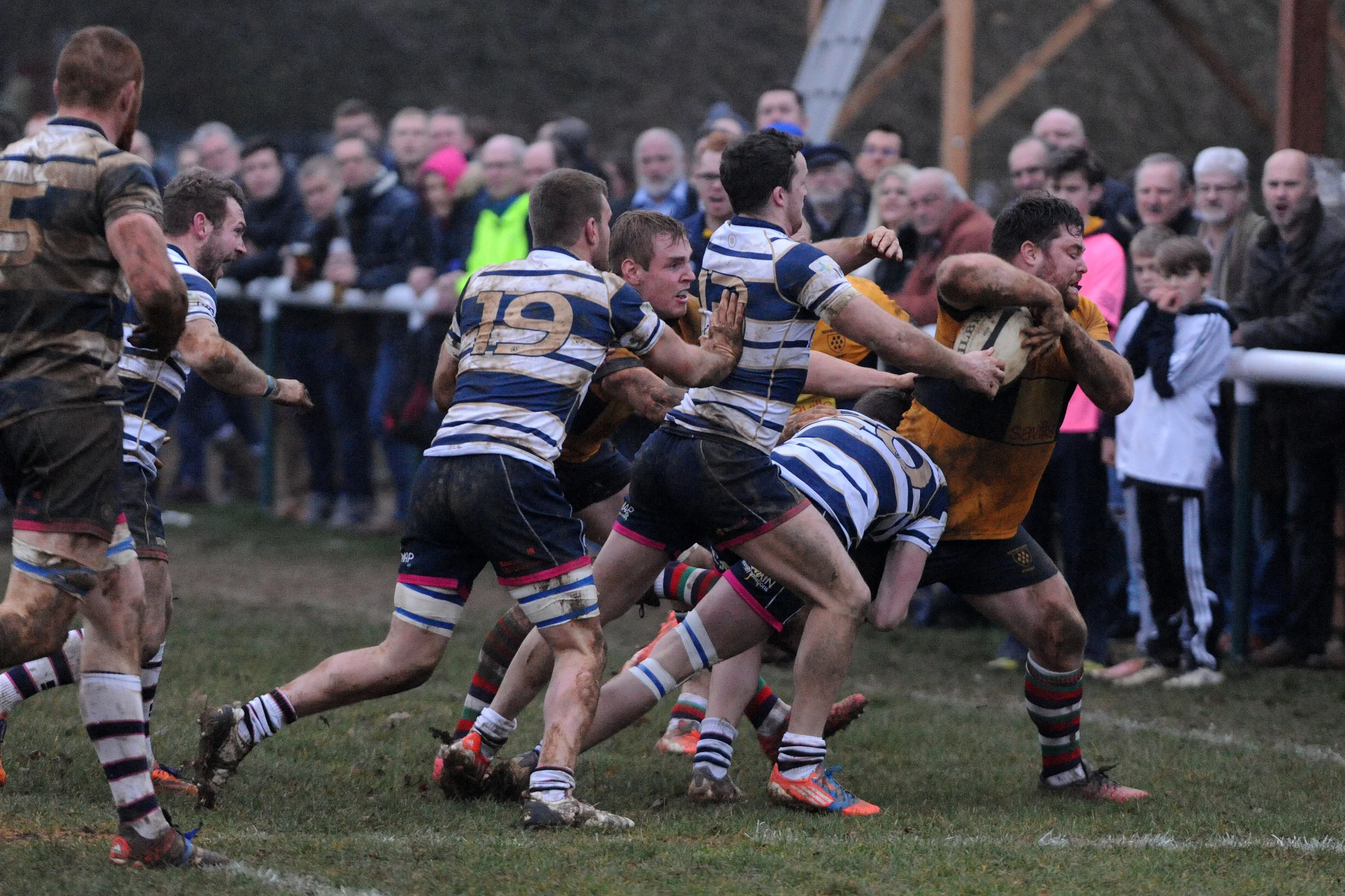 SEVENOAKS_T WELLS_DP_20161217_091.JPG