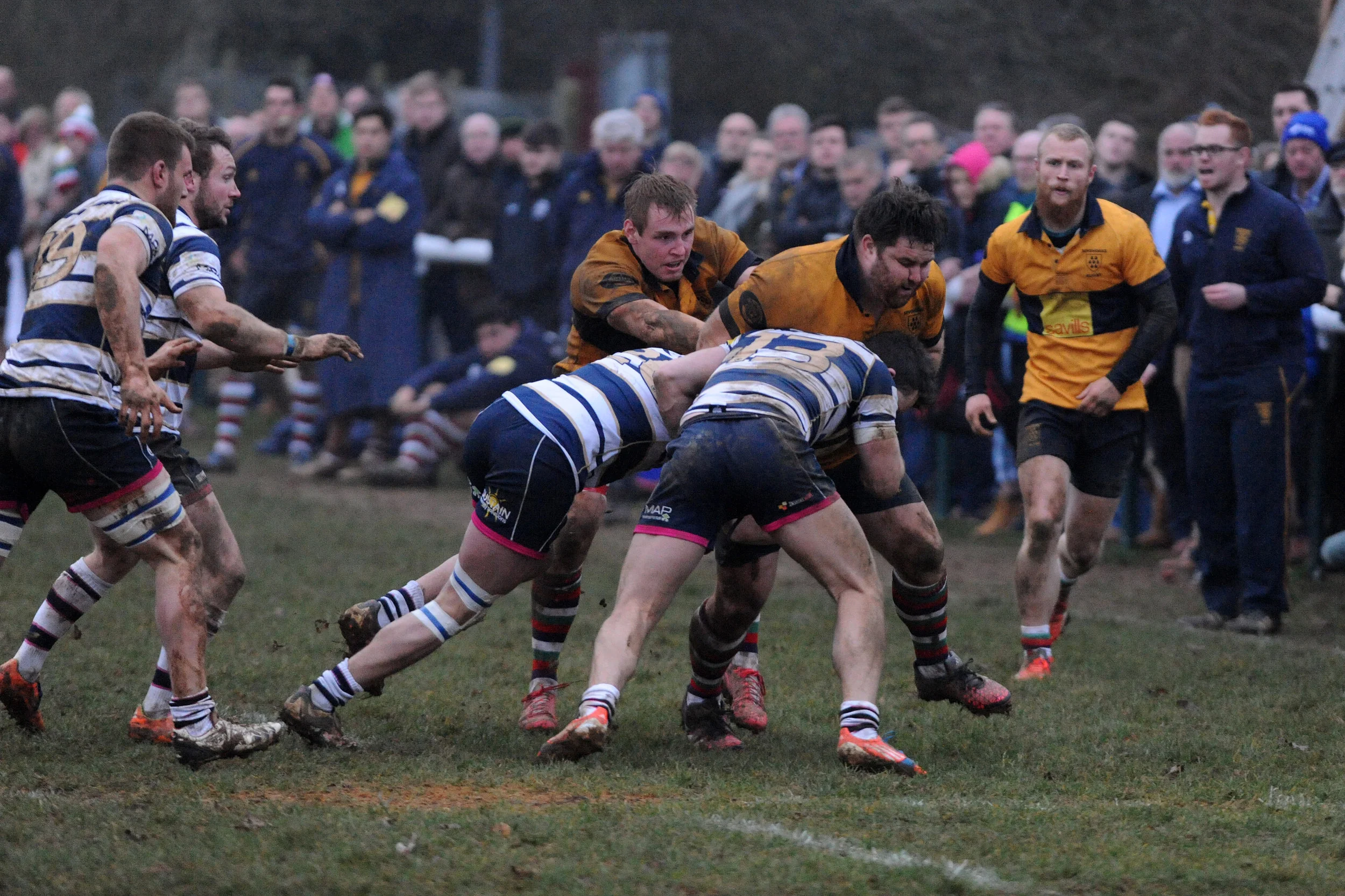 SEVENOAKS_T WELLS_DP_20161217_089.JPG