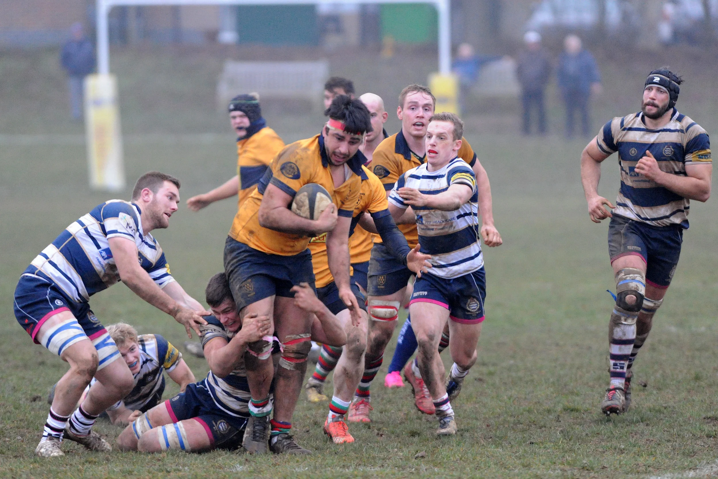 SEVENOAKS_T WELLS_DP_20161217_085.JPG