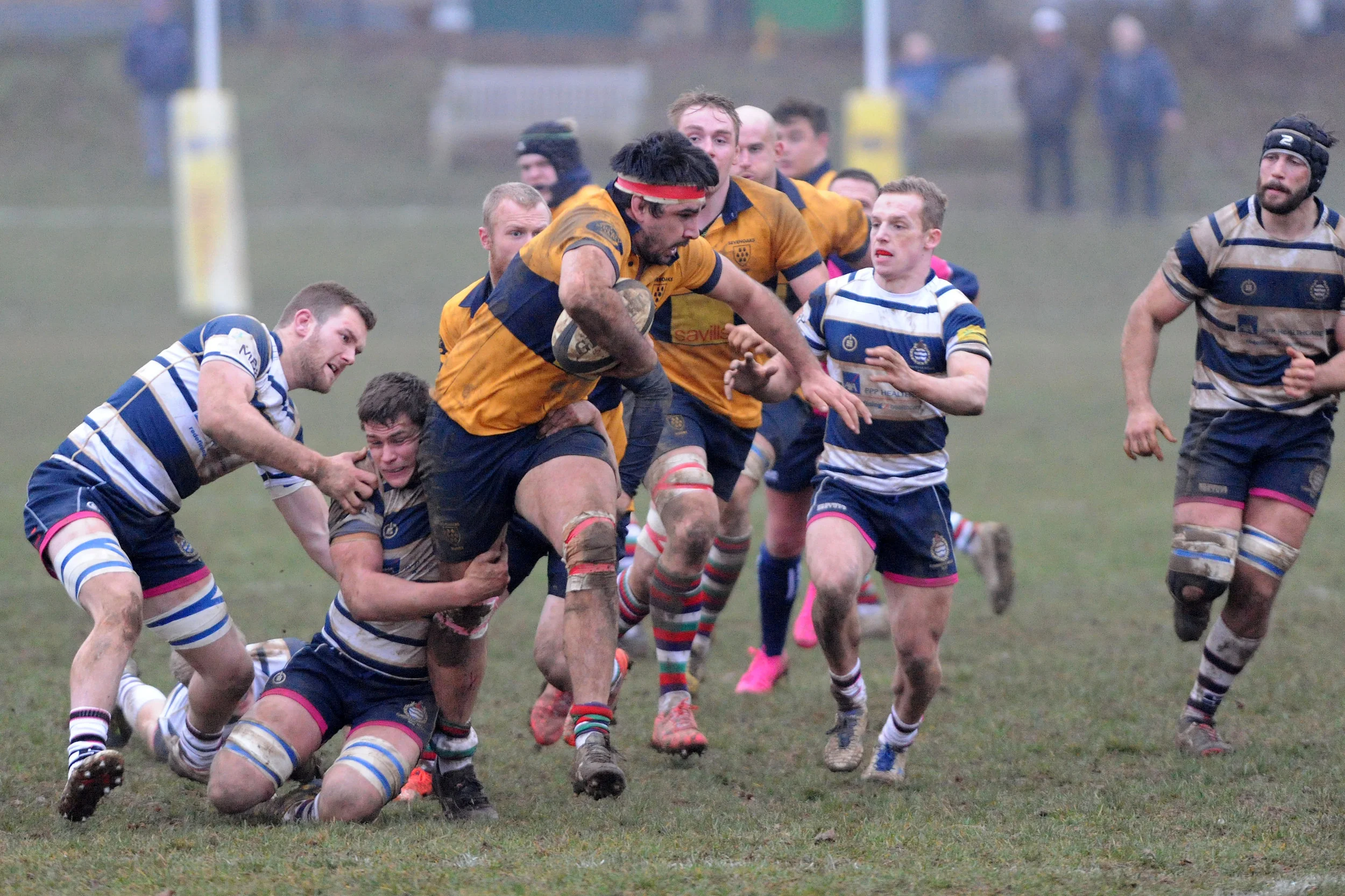 SEVENOAKS_T WELLS_DP_20161217_084.JPG