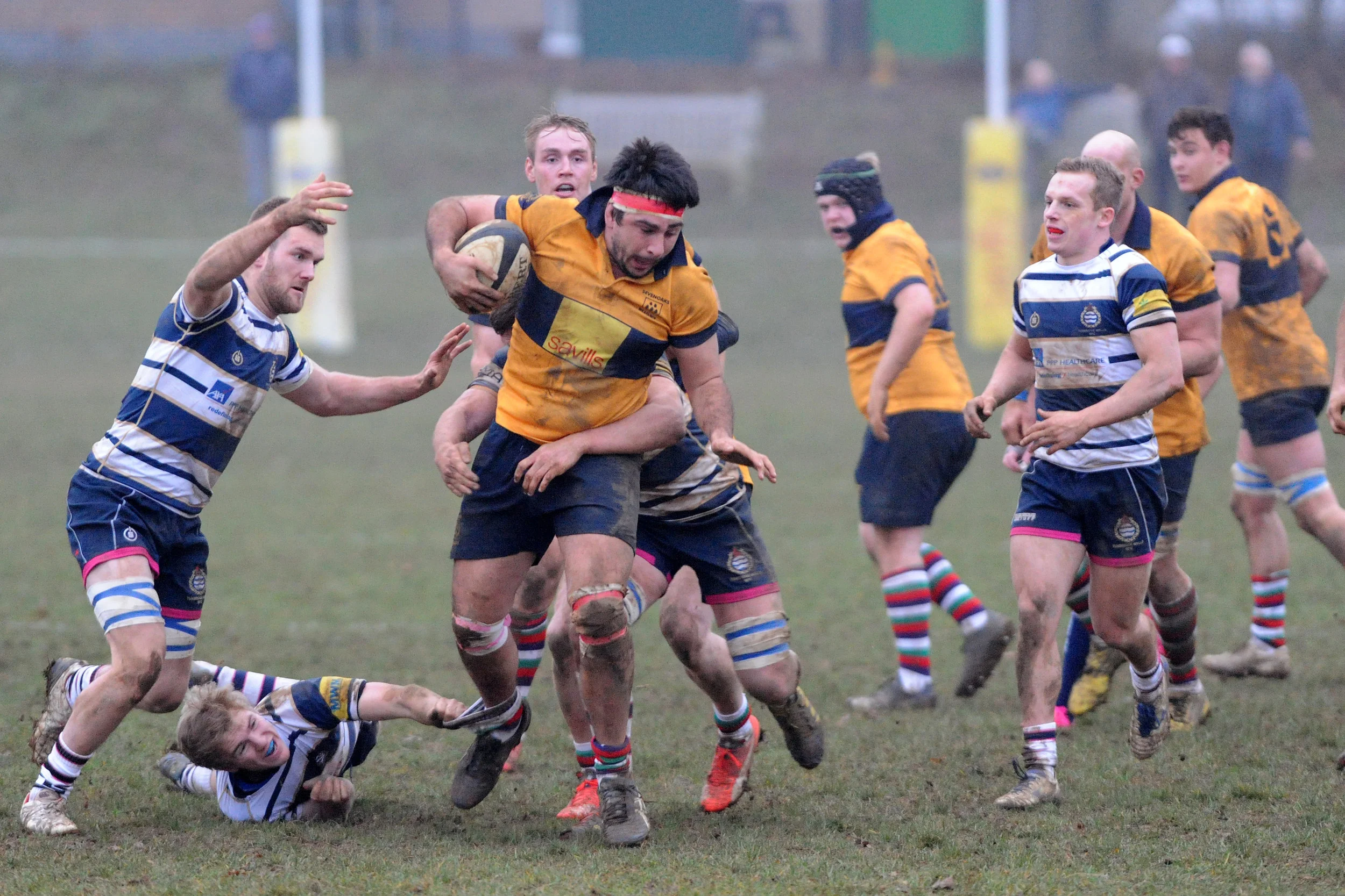 SEVENOAKS_T WELLS_DP_20161217_082.JPG