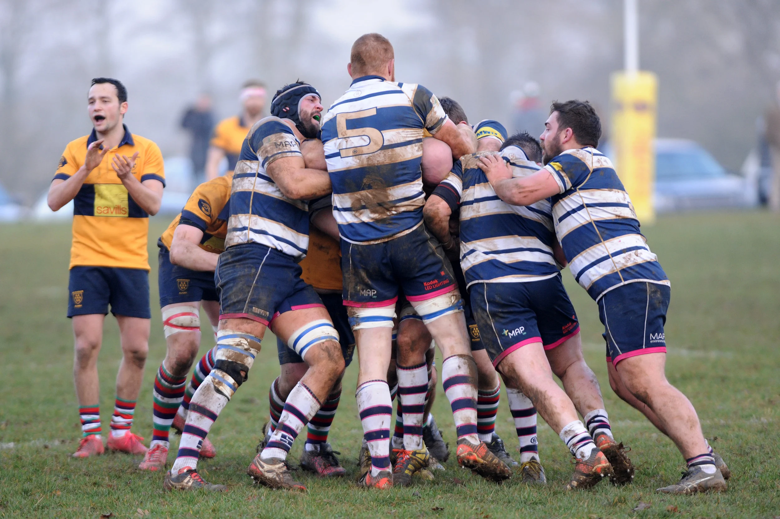 SEVENOAKS_T WELLS_DP_20161217_039.JPG