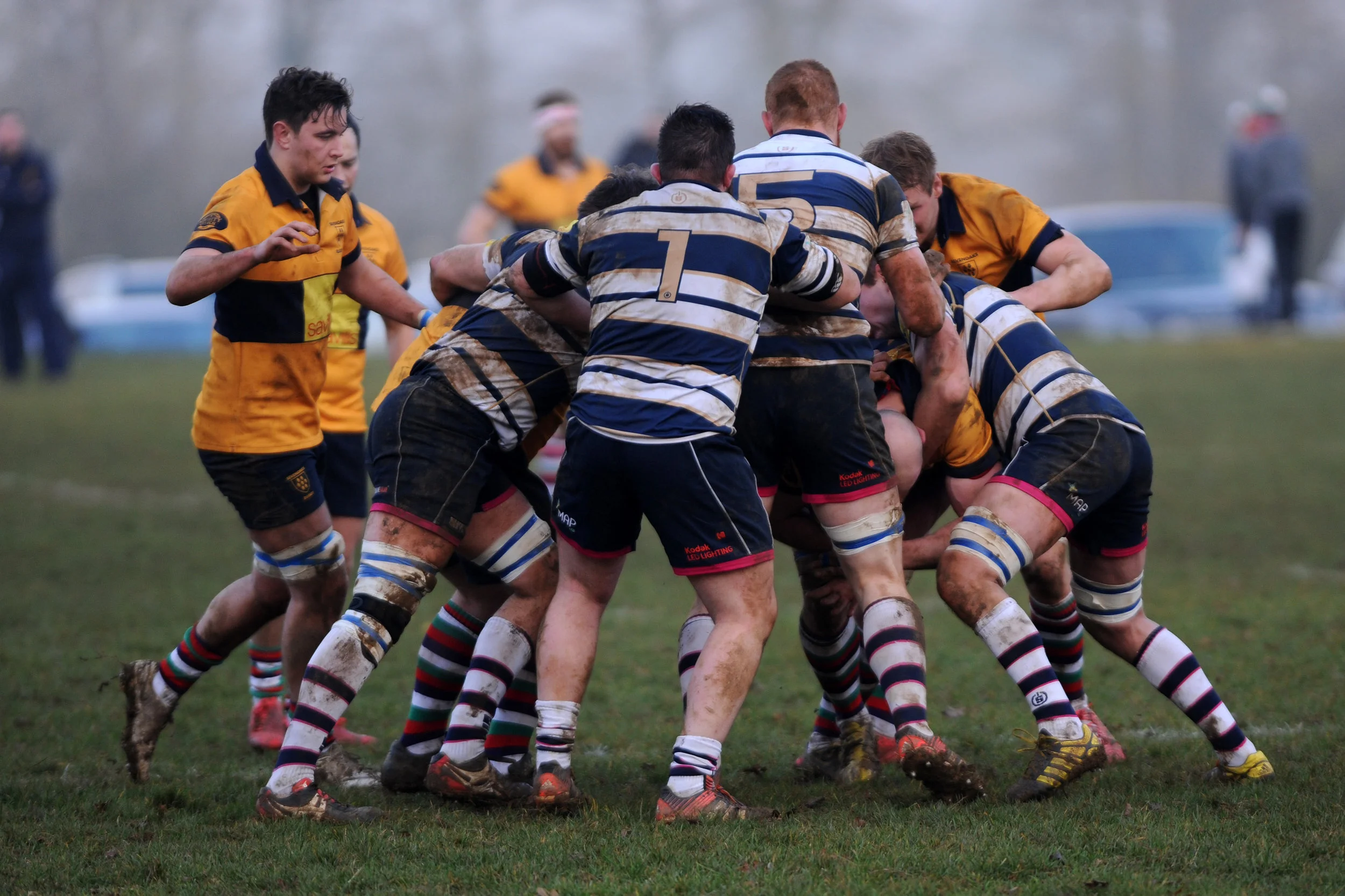 SEVENOAKS_T WELLS_DP_20161217_038.JPG