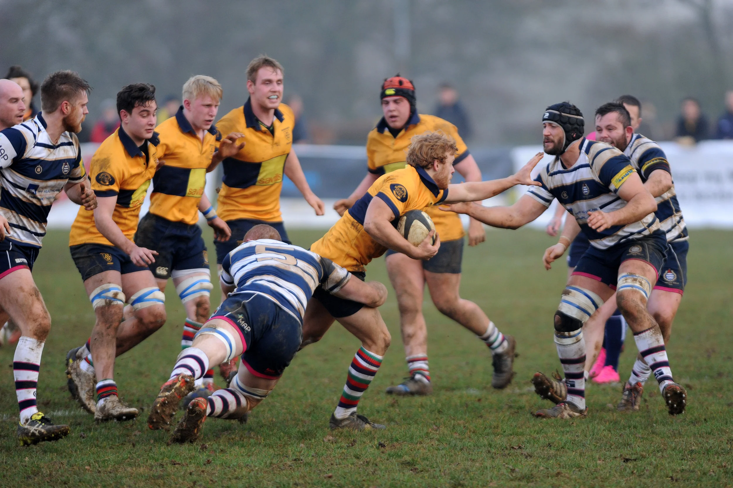 SEVENOAKS_T WELLS_DP_20161217_033.JPG