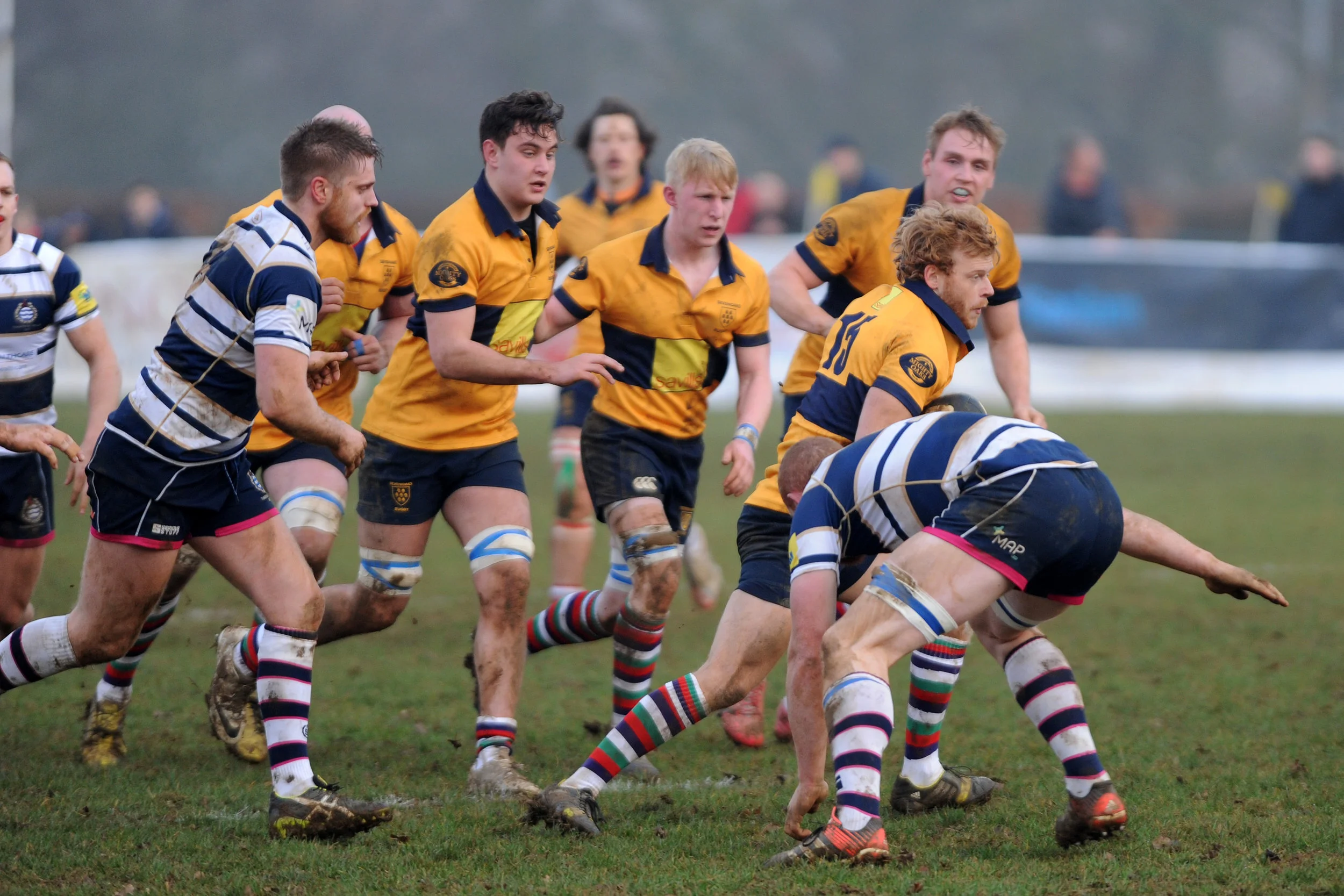 SEVENOAKS_T WELLS_DP_20161217_032.JPG