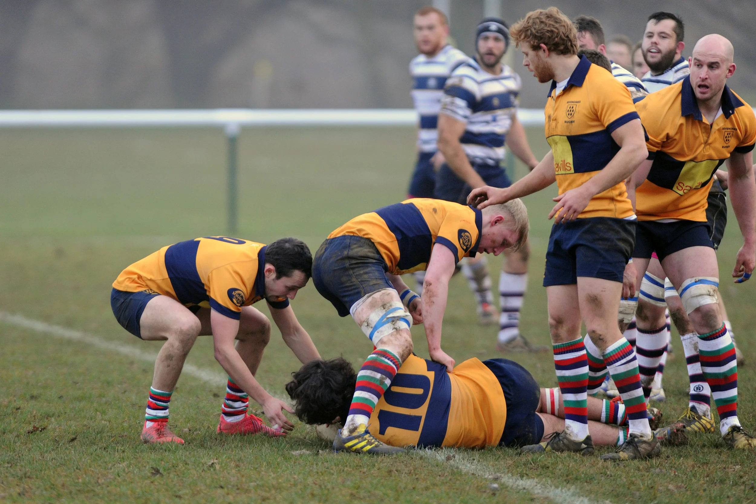 SEVENOAKS_T WELLS_DP_20161217_019.JPG