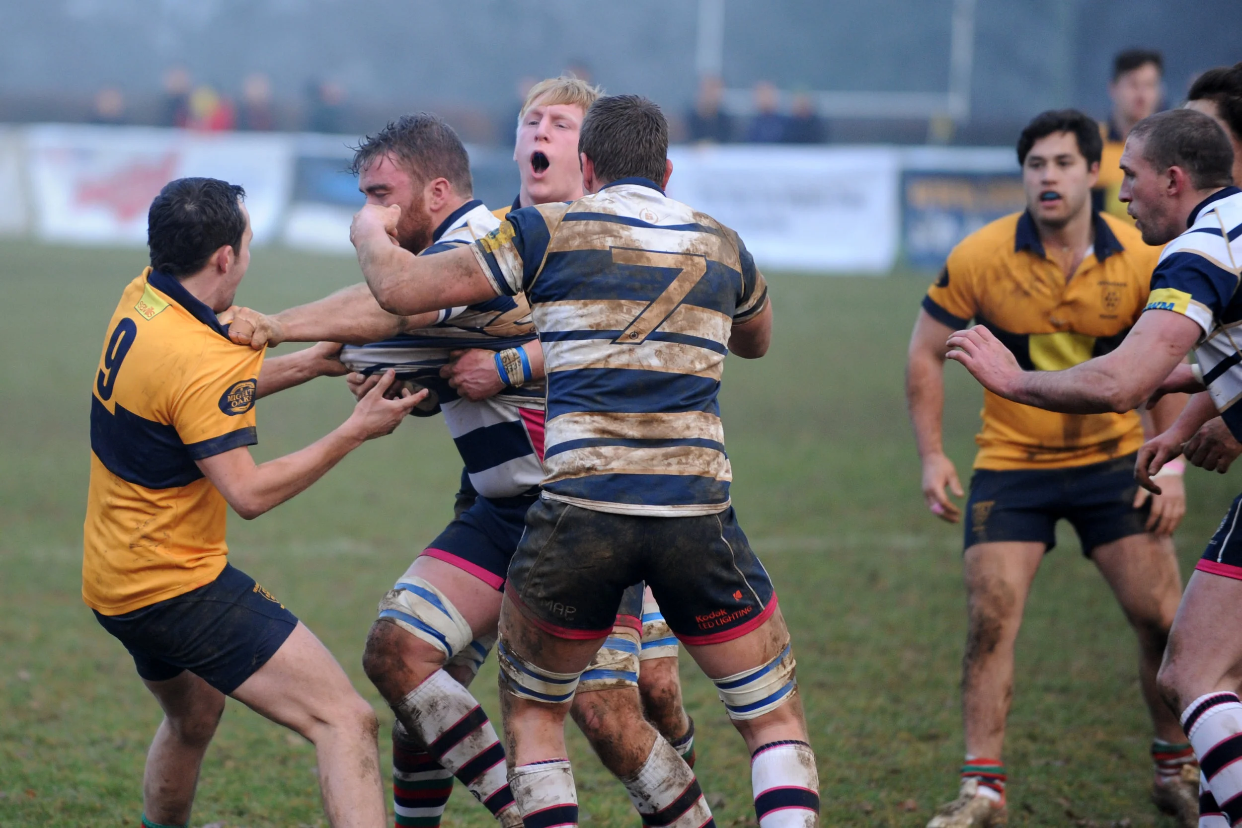 SEVENOAKS_T WELLS_DP_20161217_012.JPG