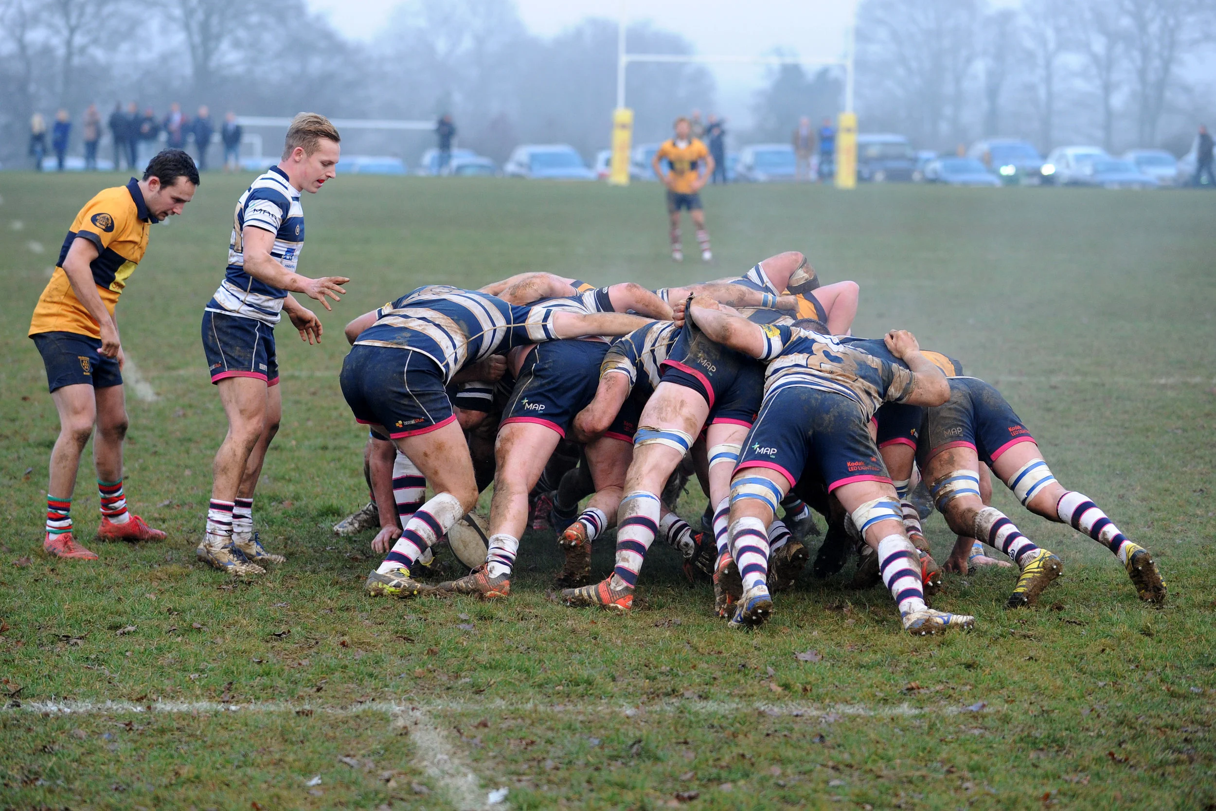 SEVENOAKS_T WELLS_DP_20161217_011.JPG