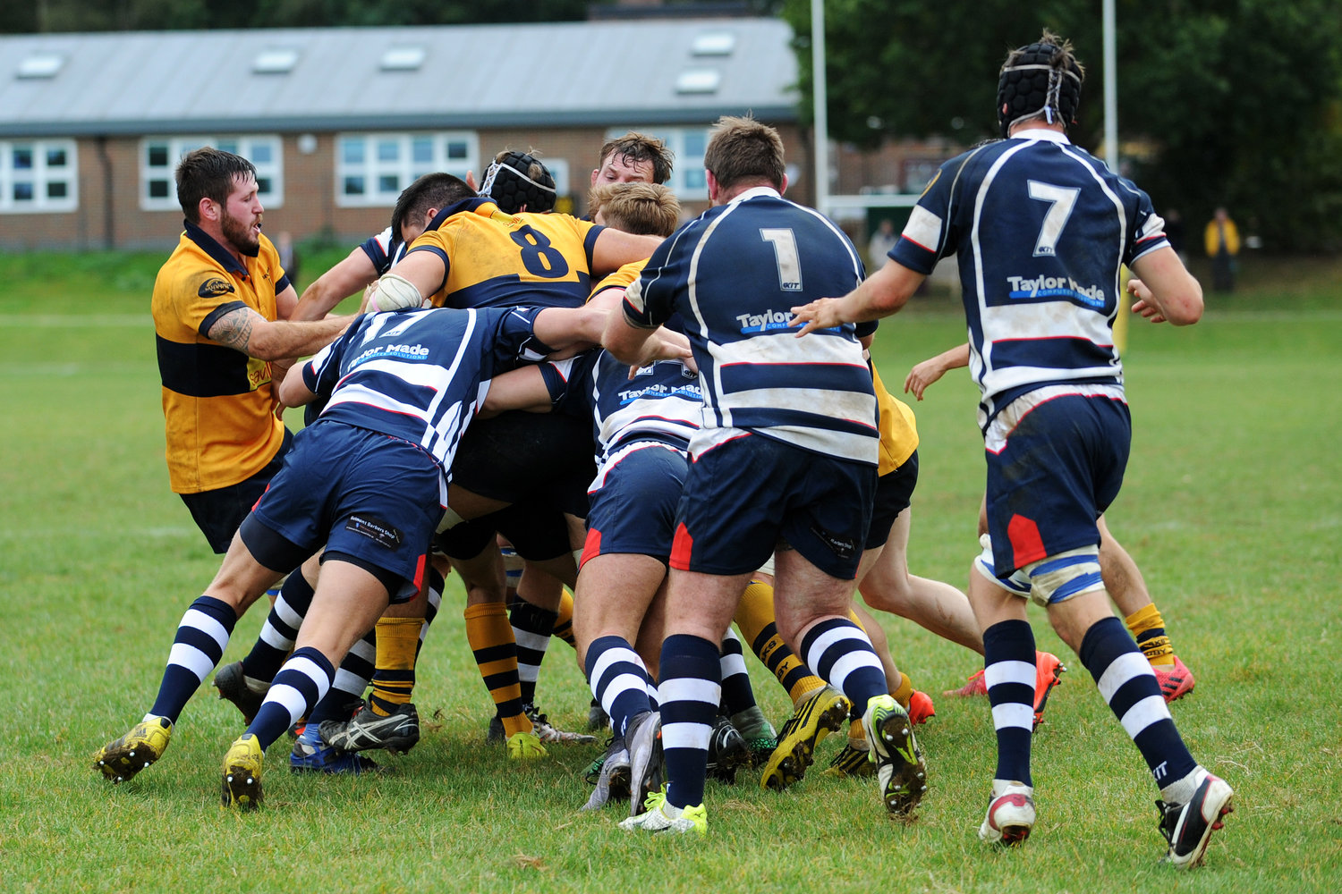 Oaks squeezed out by Havant