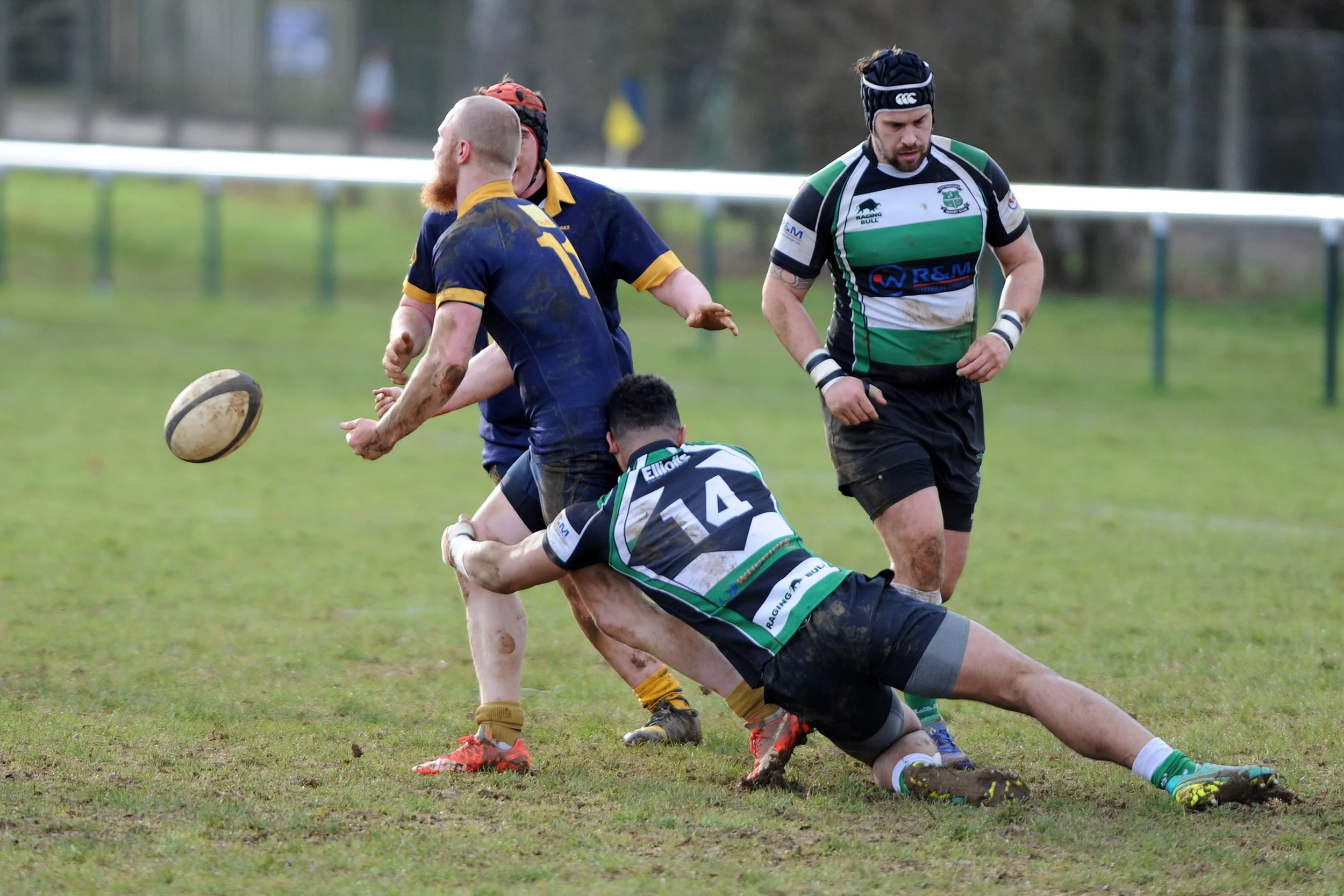 SEVENOAKS_ TOTTONIANS_DP_20170204_001.JPG