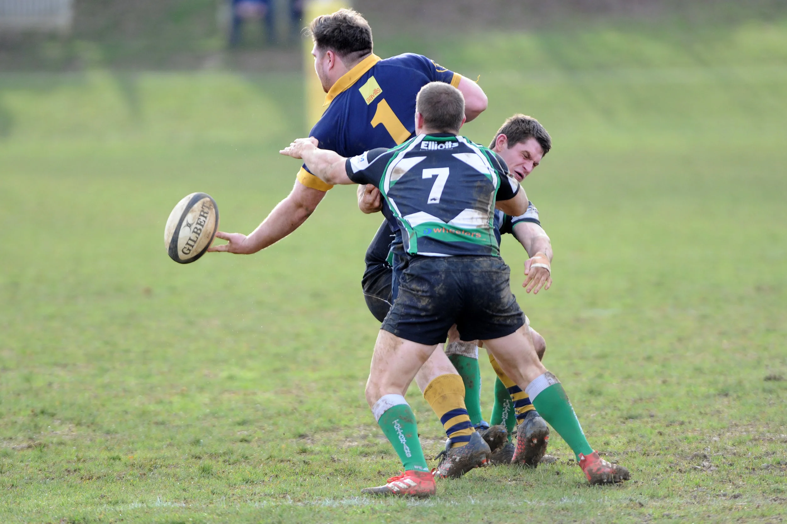 SEVENOAKS_ TOTTONIANS_DP_20170204_006.JPG