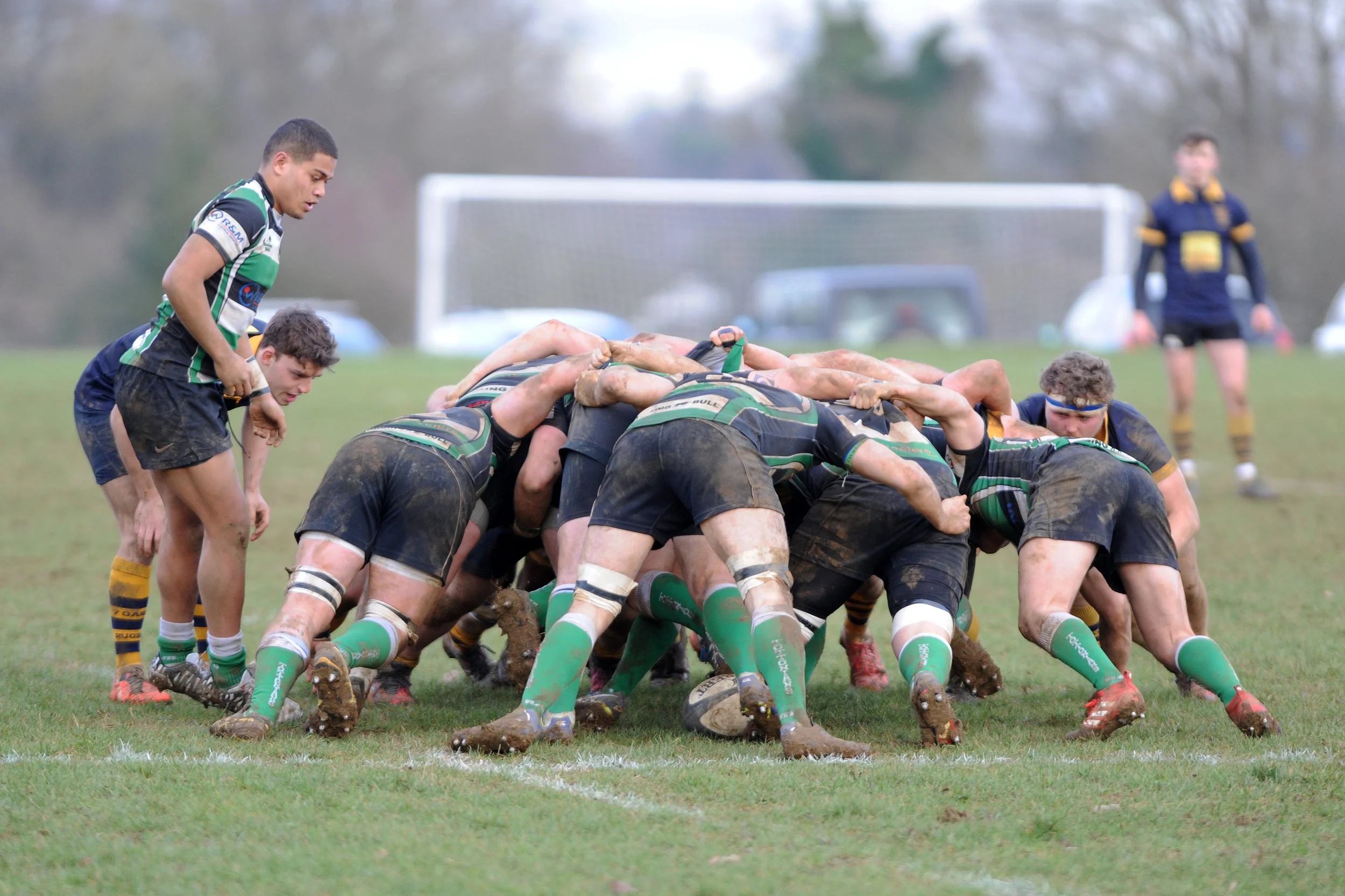 SEVENOAKS_ TOTTONIANS_DP_20170204_013.JPG