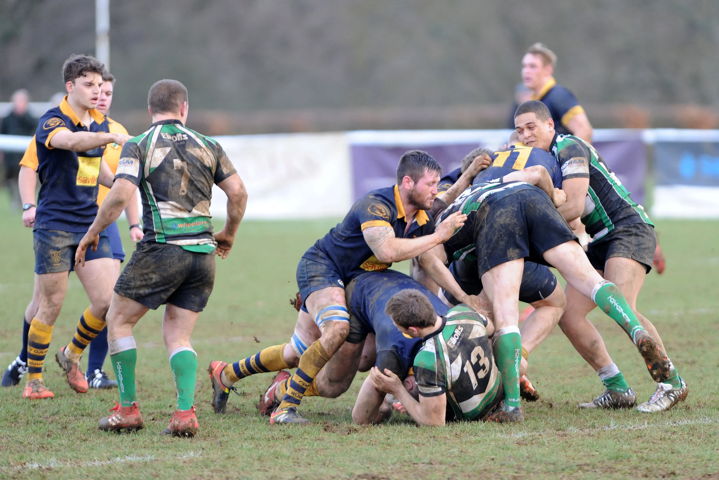 SEVENOAKS_ TOTTONIANS_DP_20170204_018.JPG