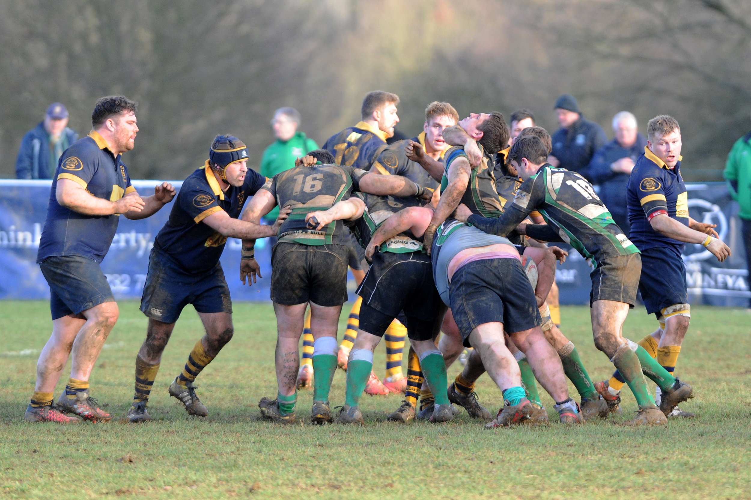 SEVENOAKS_ TOTTONIANS_DP_20170204_045.JPG