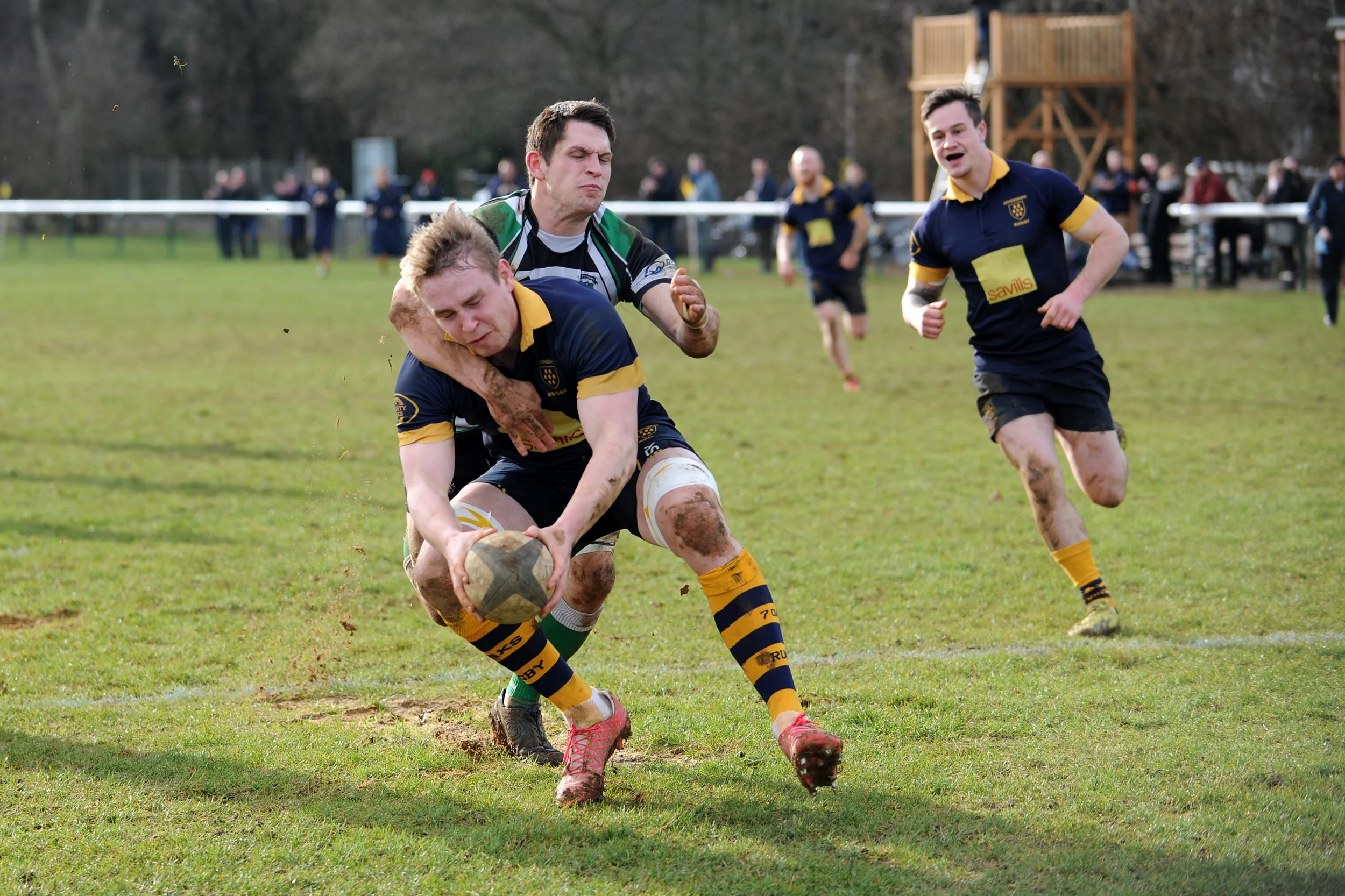 SEVENOAKS_ TOTTONIANS_DP_20170204_058.JPG