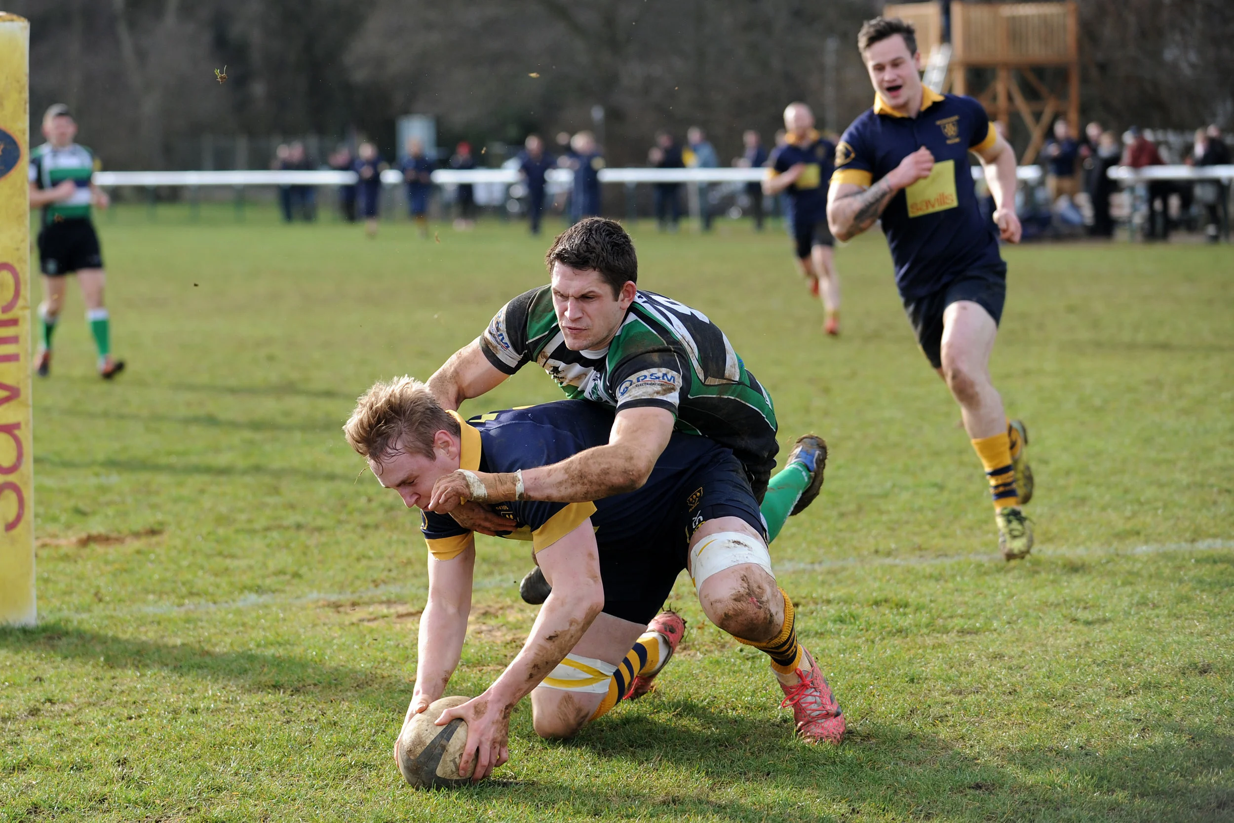 SEVENOAKS_ TOTTONIANS_DP_20170204_059.JPG