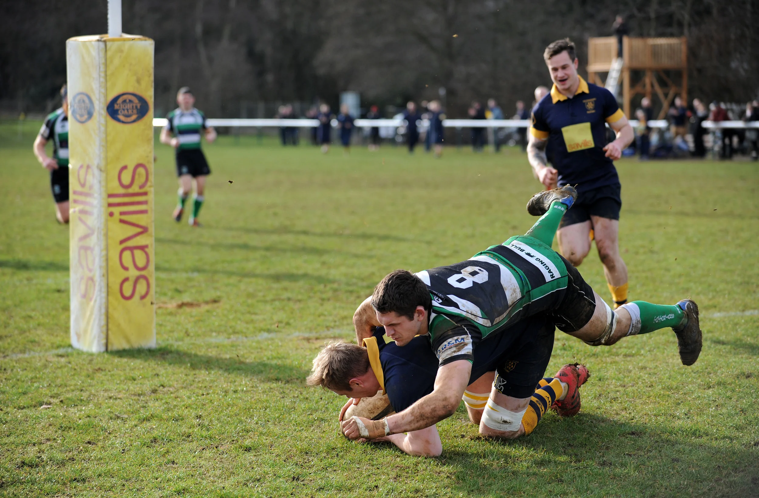 SEVENOAKS_ TOTTONIANS_DP_20170204_060.JPG