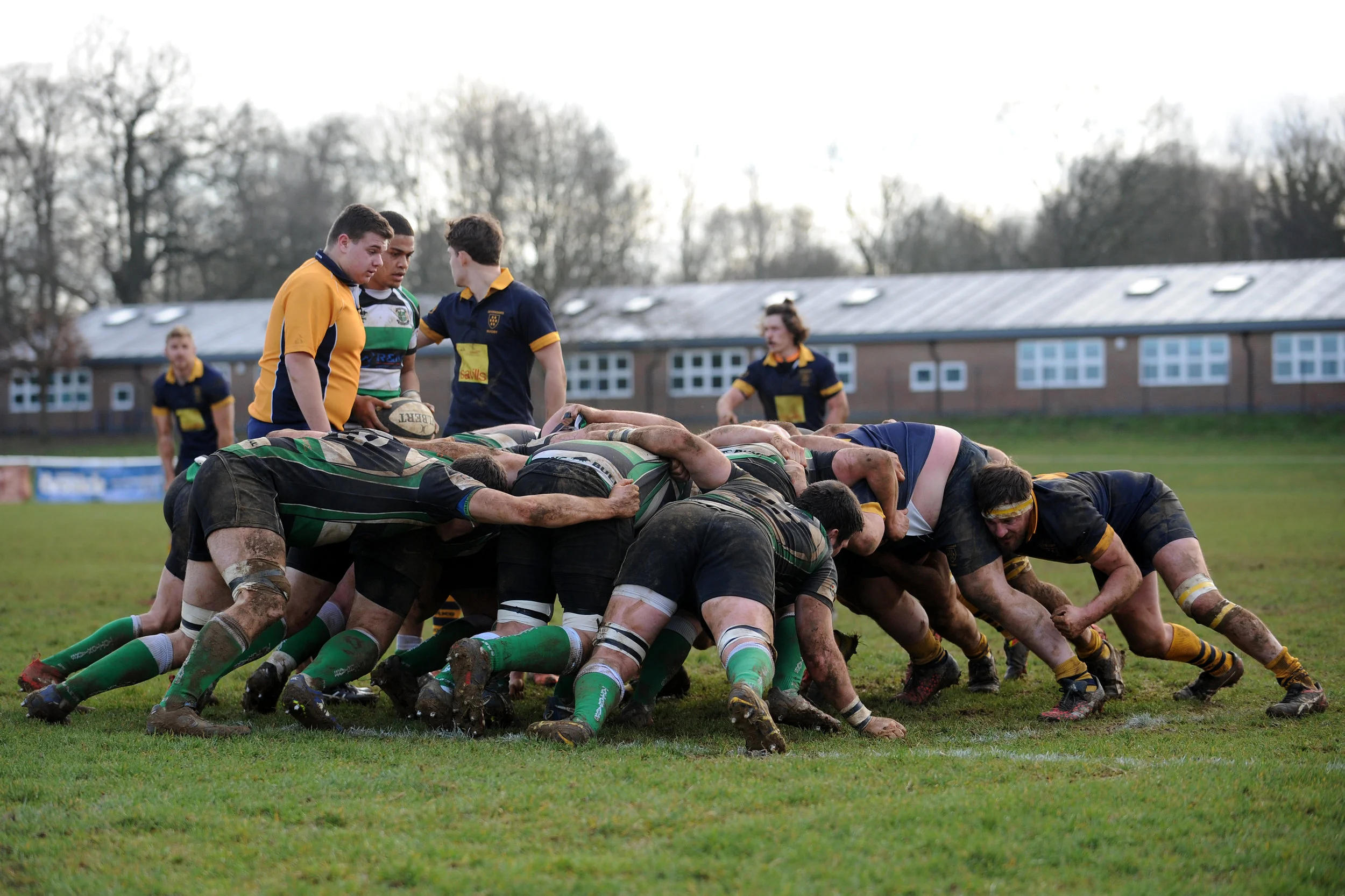 SEVENOAKS_ TOTTONIANS_DP_20170204_062.JPG