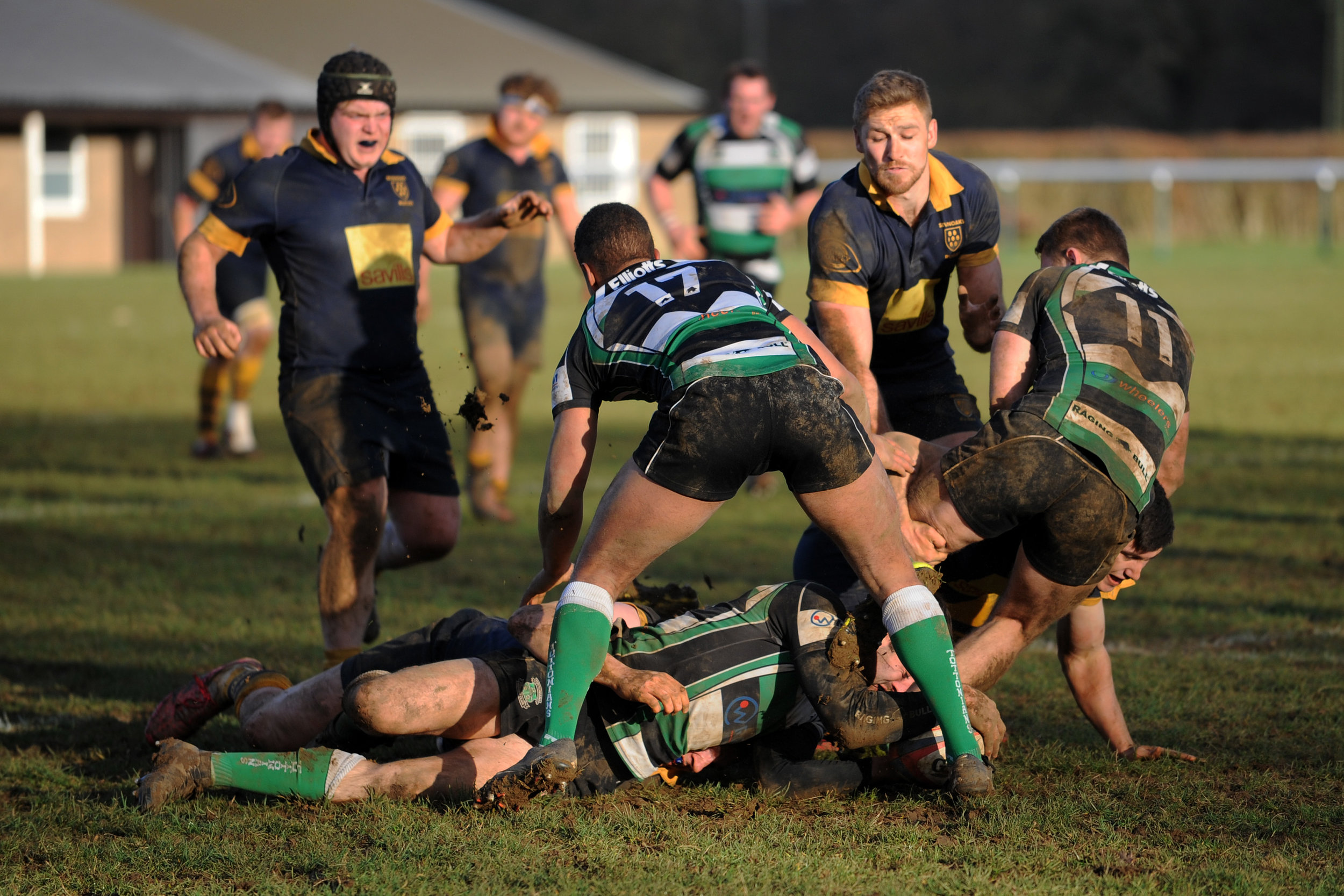 SEVENOAKS_ TOTTONIANS_DP_20170204_068.JPG