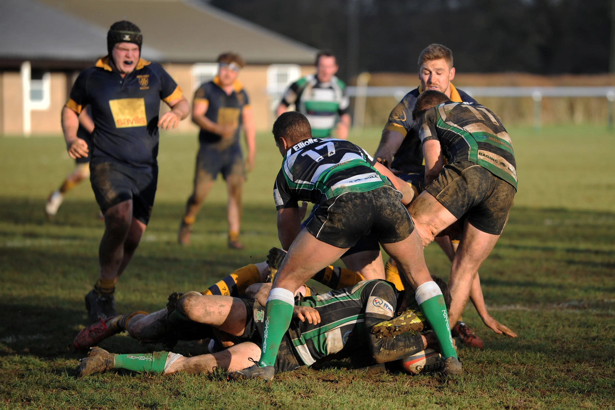 SEVENOAKS_ TOTTONIANS_DP_20170204_067.JPG