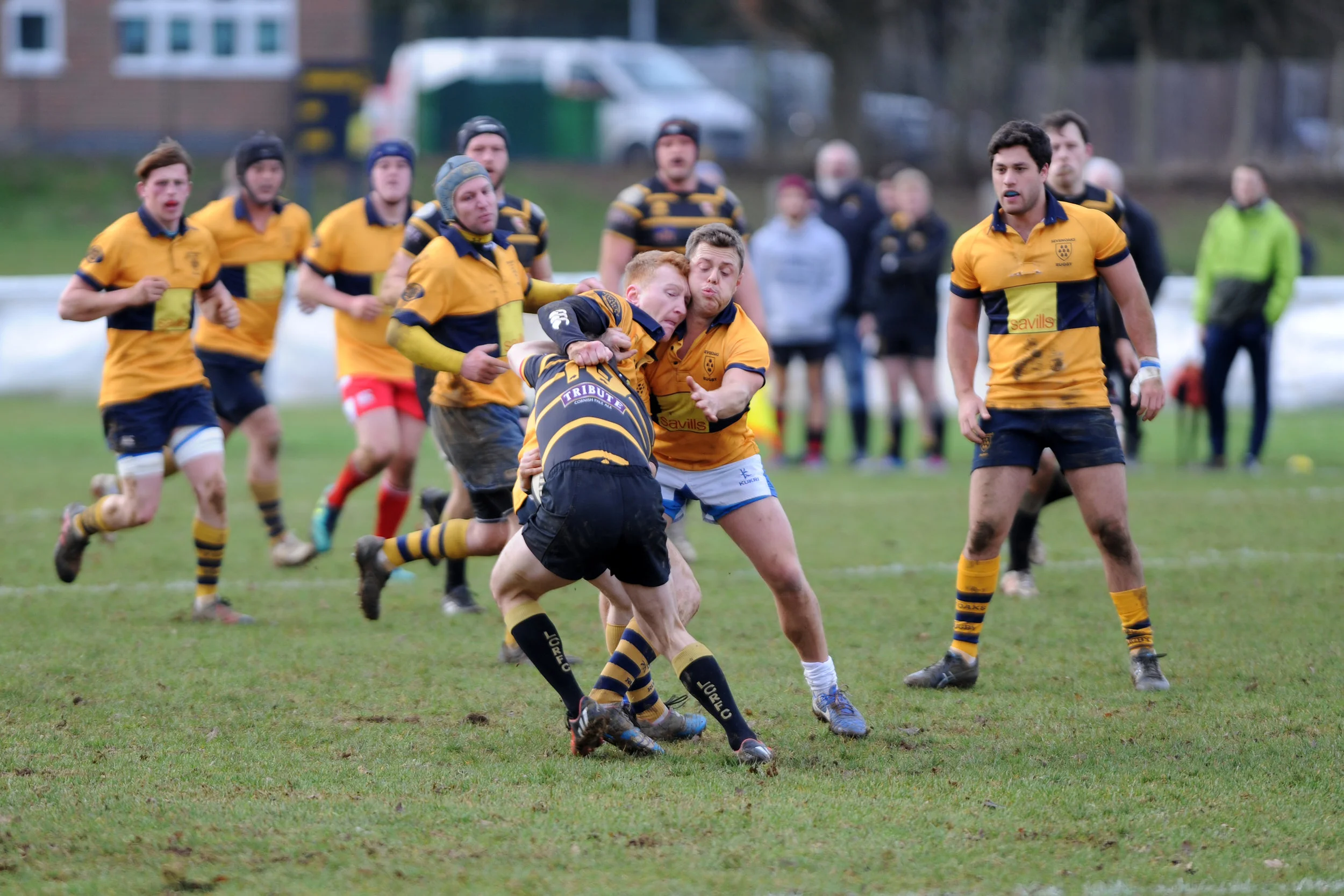 SEVENOAKS_LONDON CORNISH_DP_20170204_001.JPG