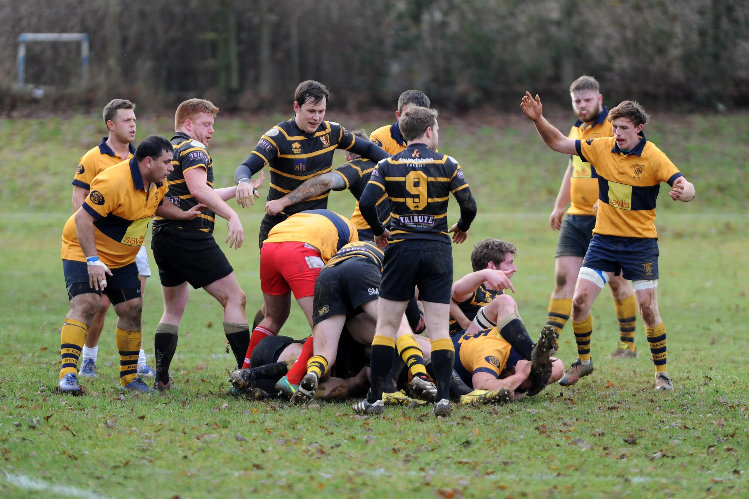 SEVENOAKS_LONDON CORNISH_DP_20170204_005.JPG