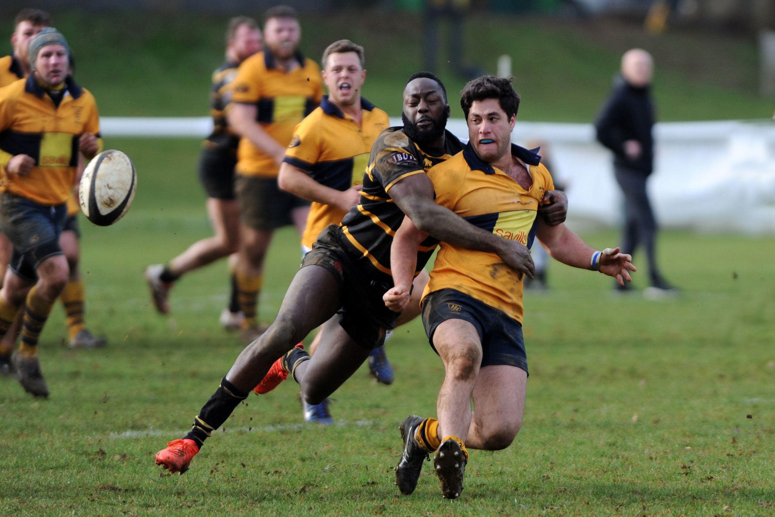 SEVENOAKS_LONDON CORNISH_DP_20170204_006.JPG