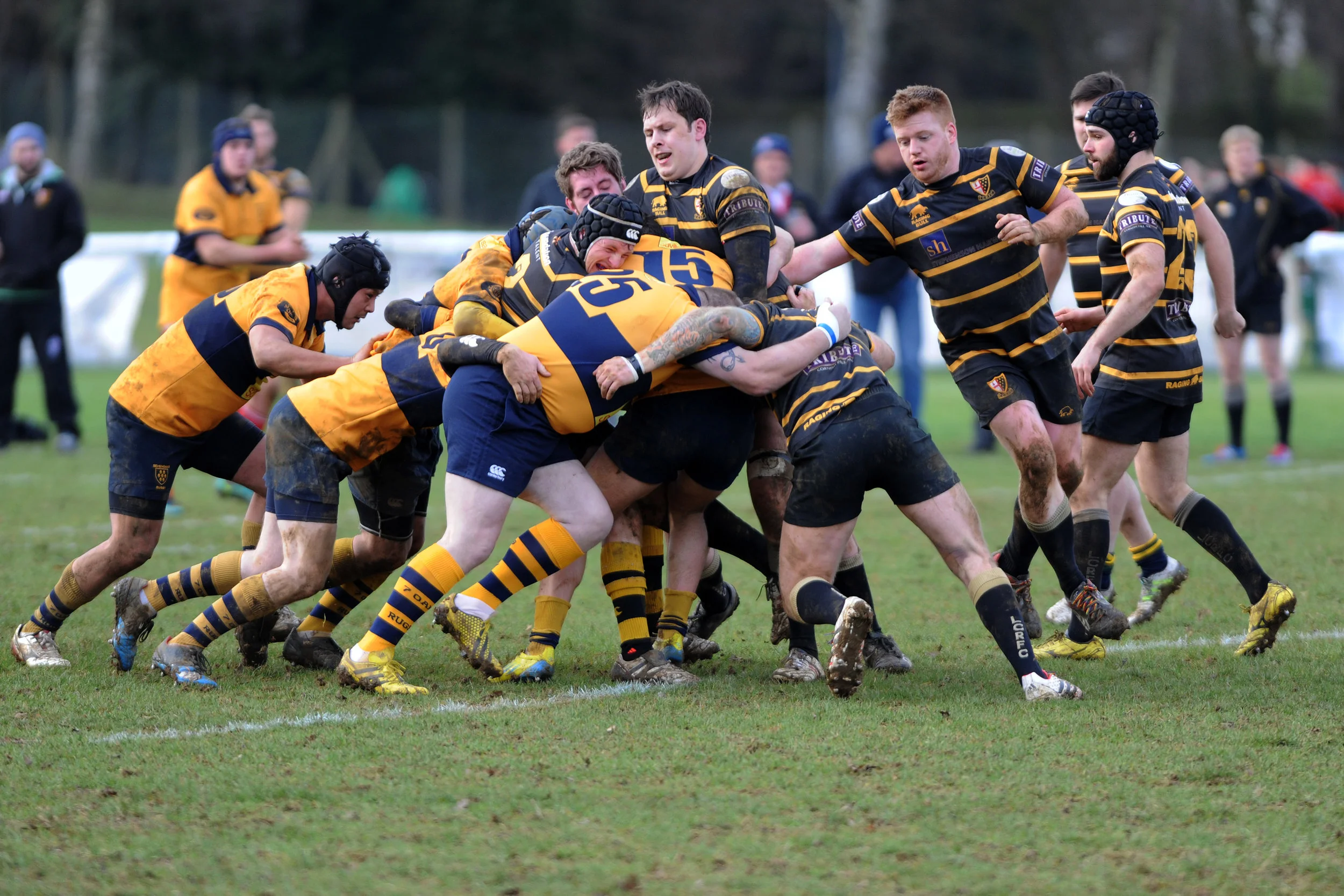 SEVENOAKS_LONDON CORNISH_DP_20170204_011.JPG