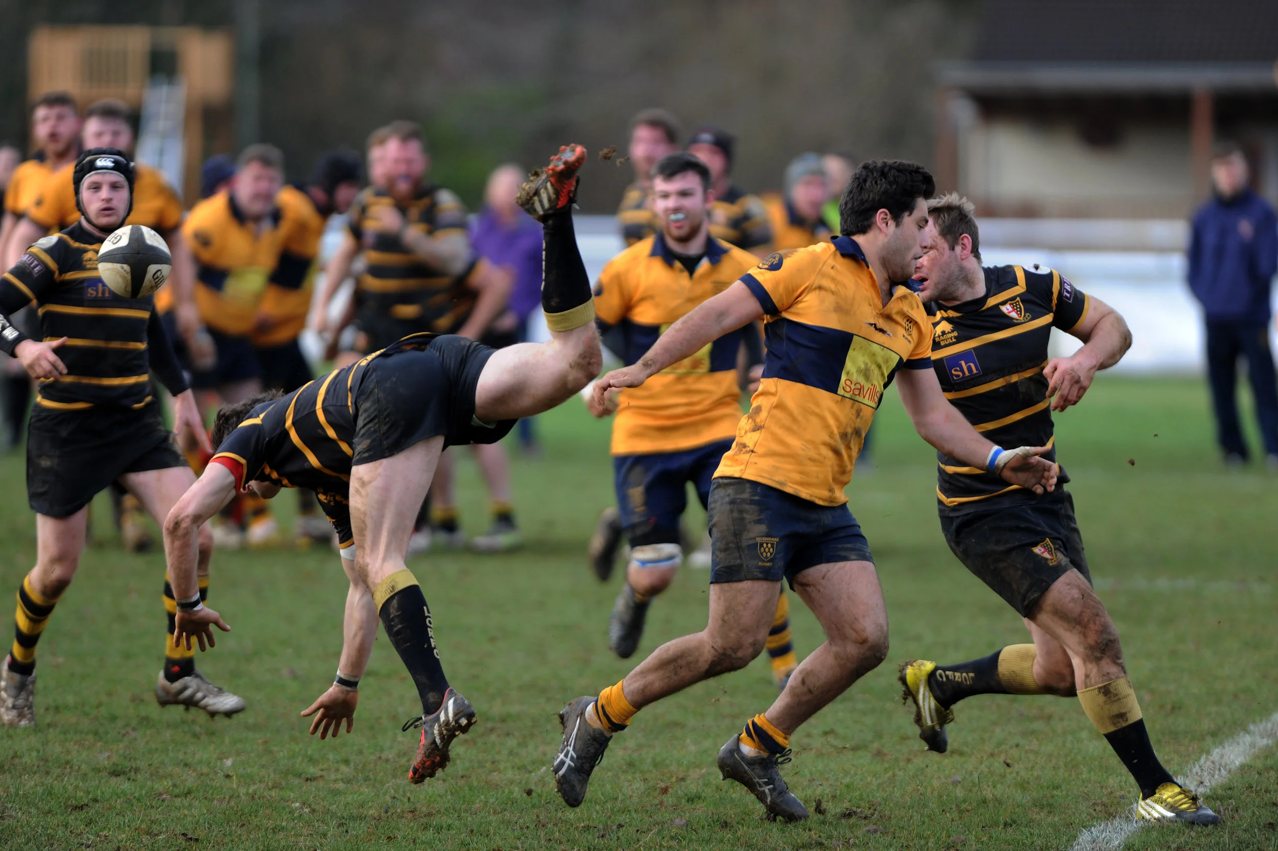 SEVENOAKS_LONDON CORNISH_DP_20170204_014.JPG