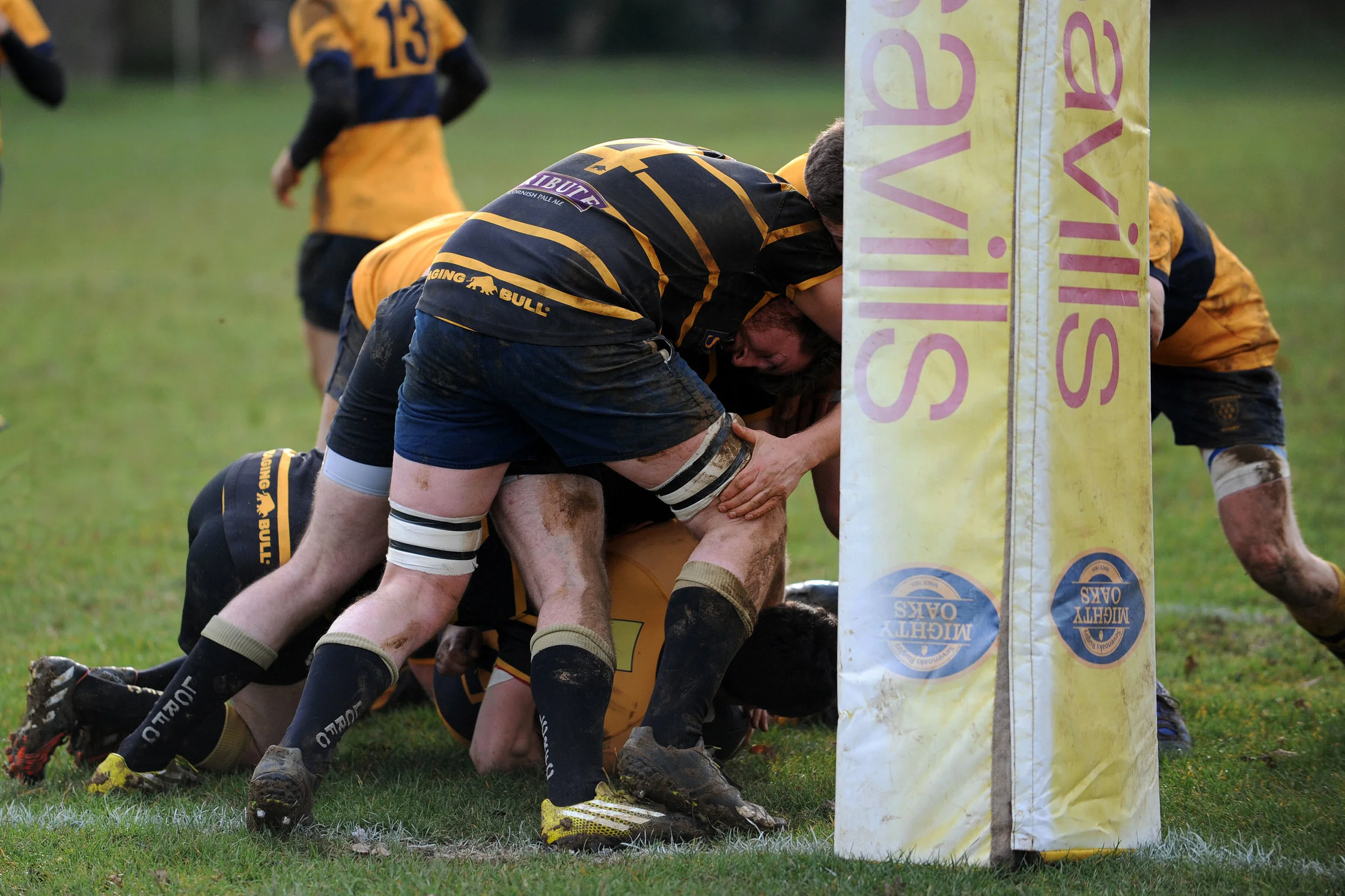 SEVENOAKS_LONDON CORNISH_DP_20170204_015.JPG