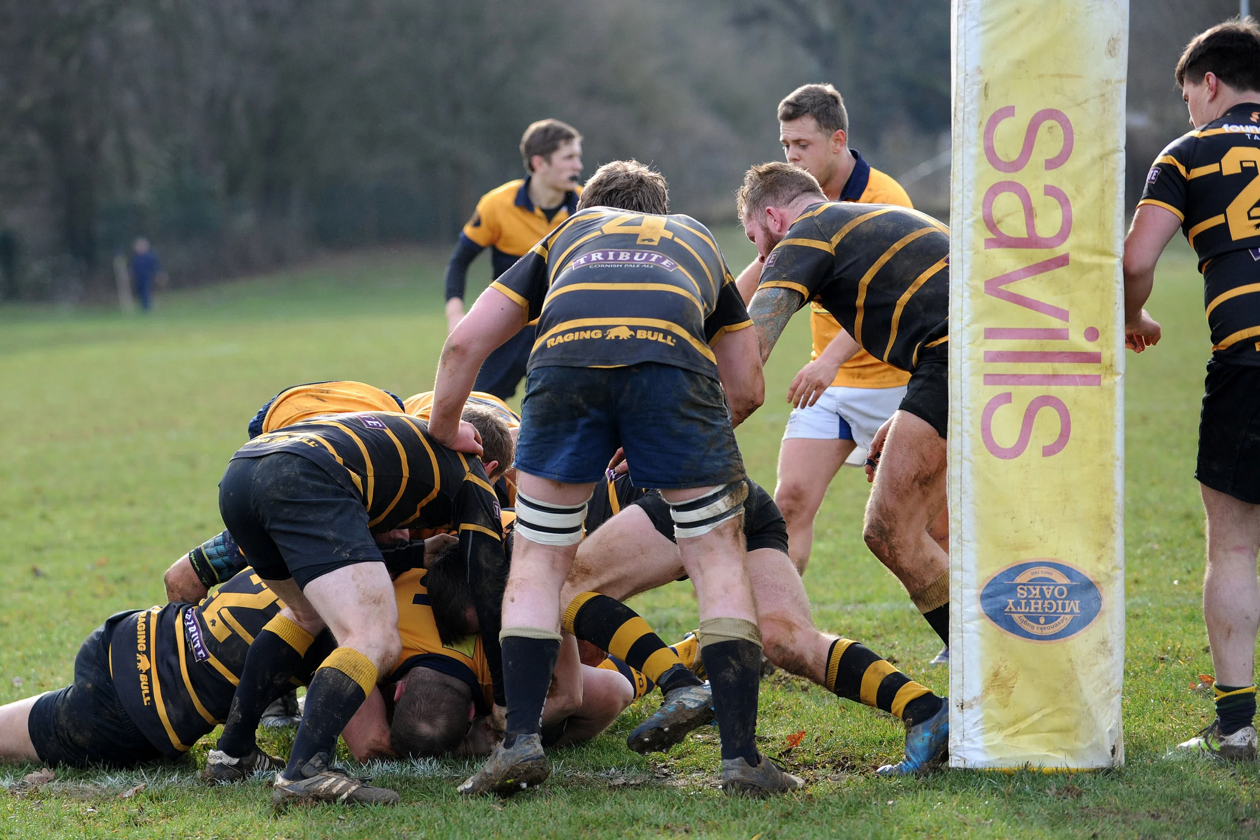 SEVENOAKS_LONDON CORNISH_DP_20170204_019.JPG