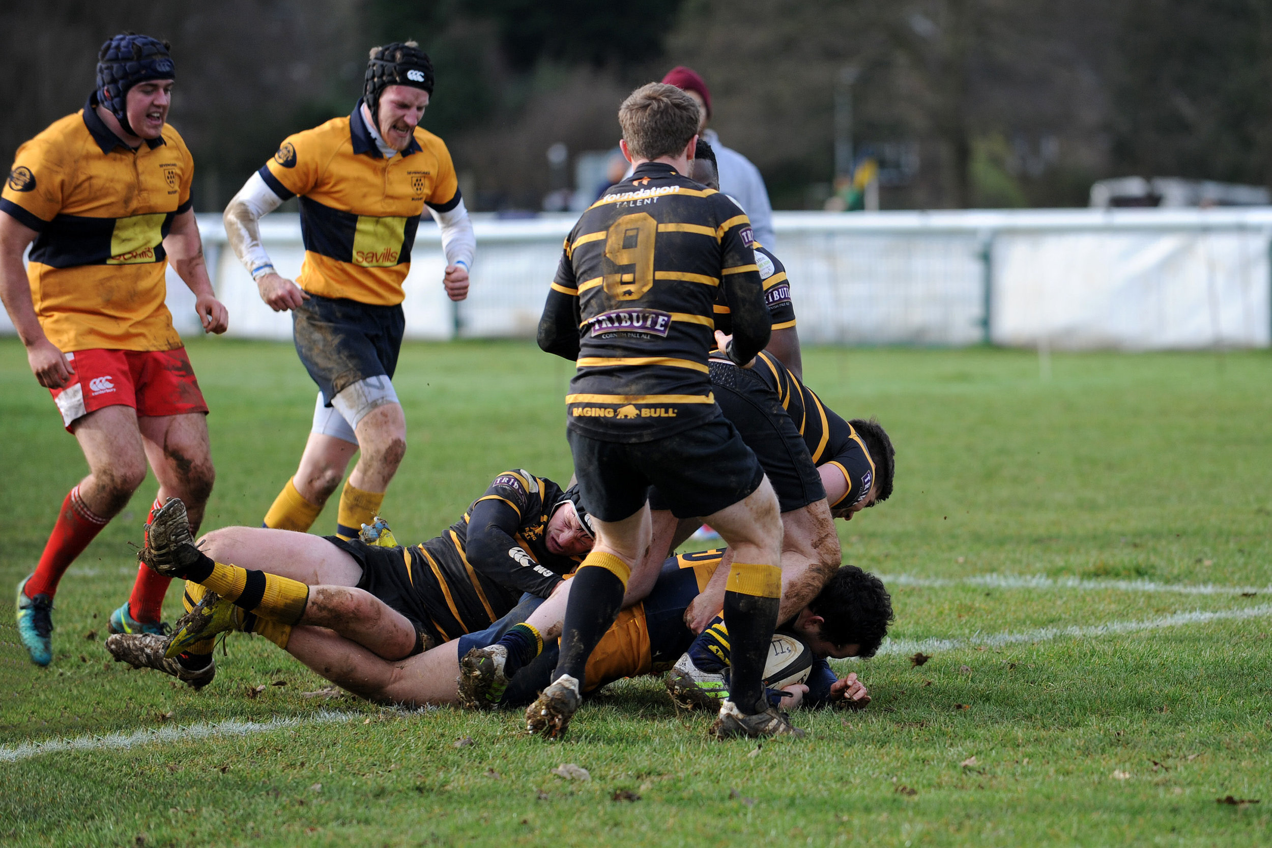 SEVENOAKS_LONDON CORNISH_DP_20170204_020.JPG