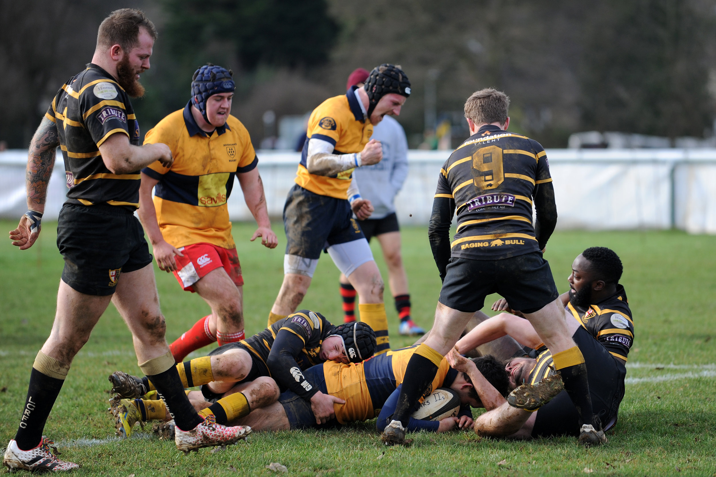 SEVENOAKS_LONDON CORNISH_DP_20170204_021.JPG