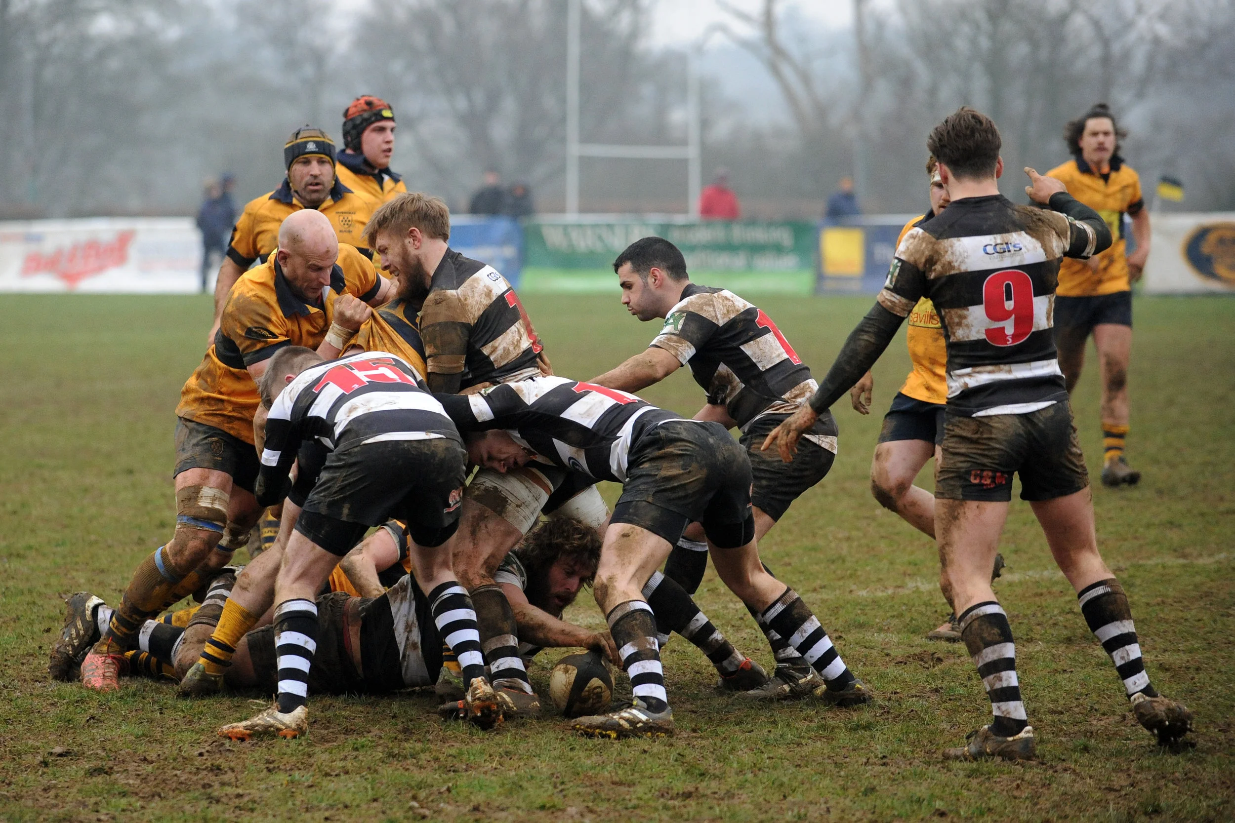 SEVENOAKS_ GRAVESEND_DP_20170210_078.JPG