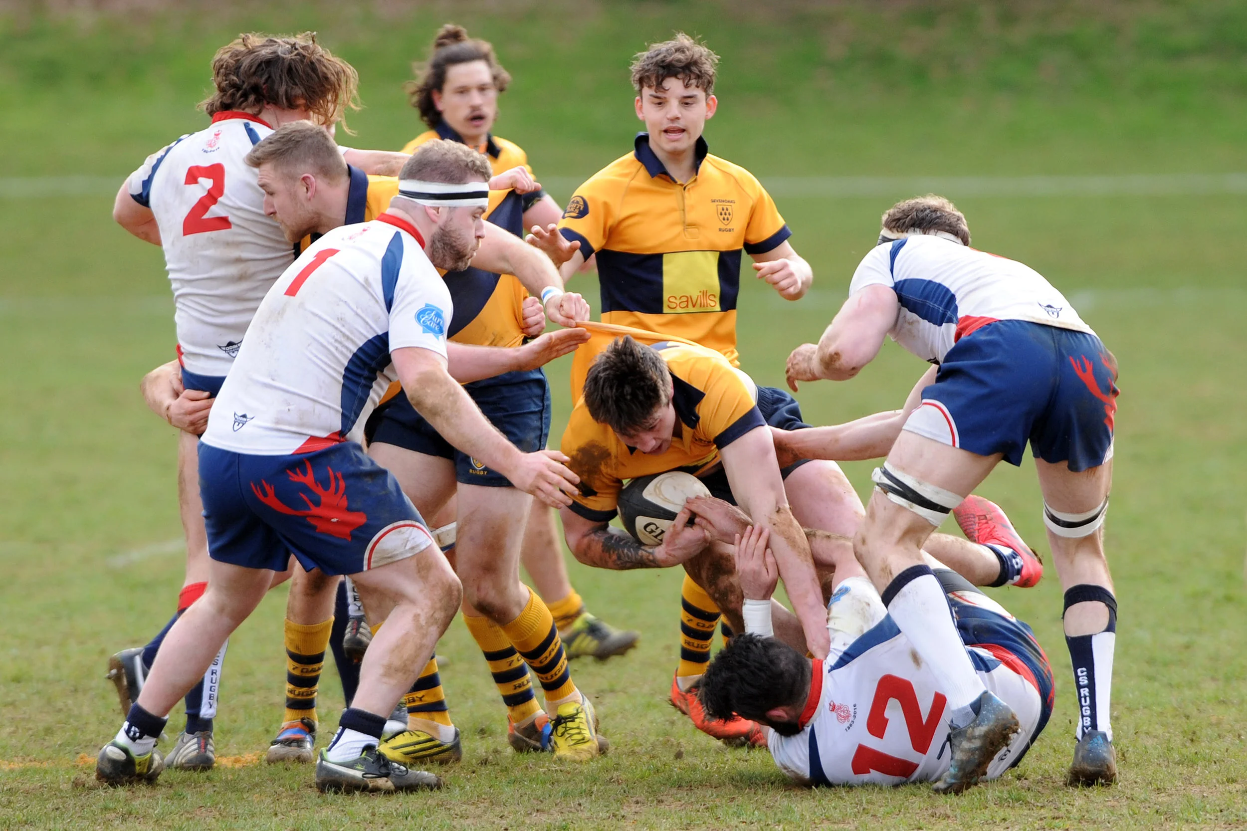 SEVENOAKS_ CS RUGBY_DP_20170304_005.JPG
