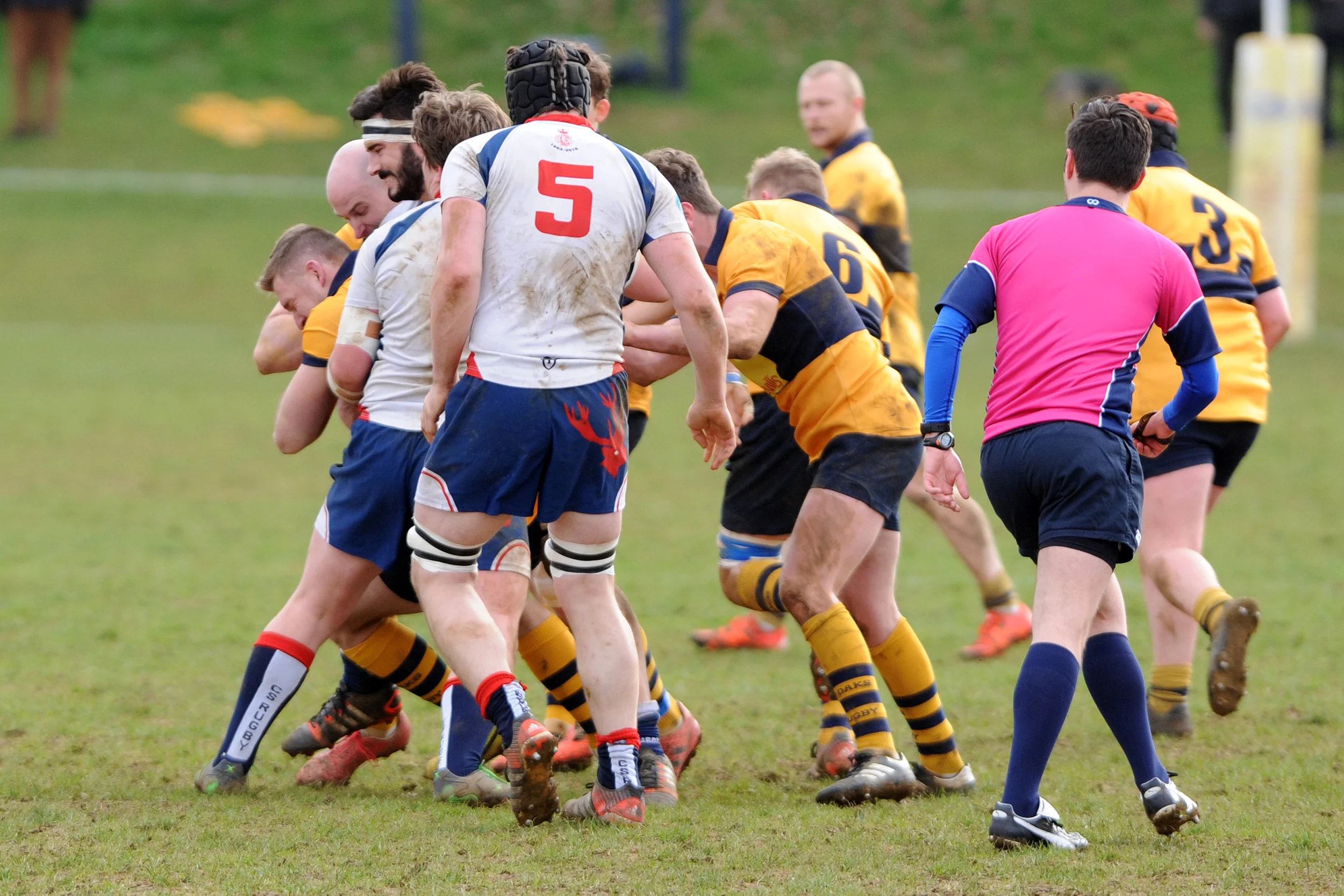 SEVENOAKS_ CS RUGBY_DP_20170304_003.JPG