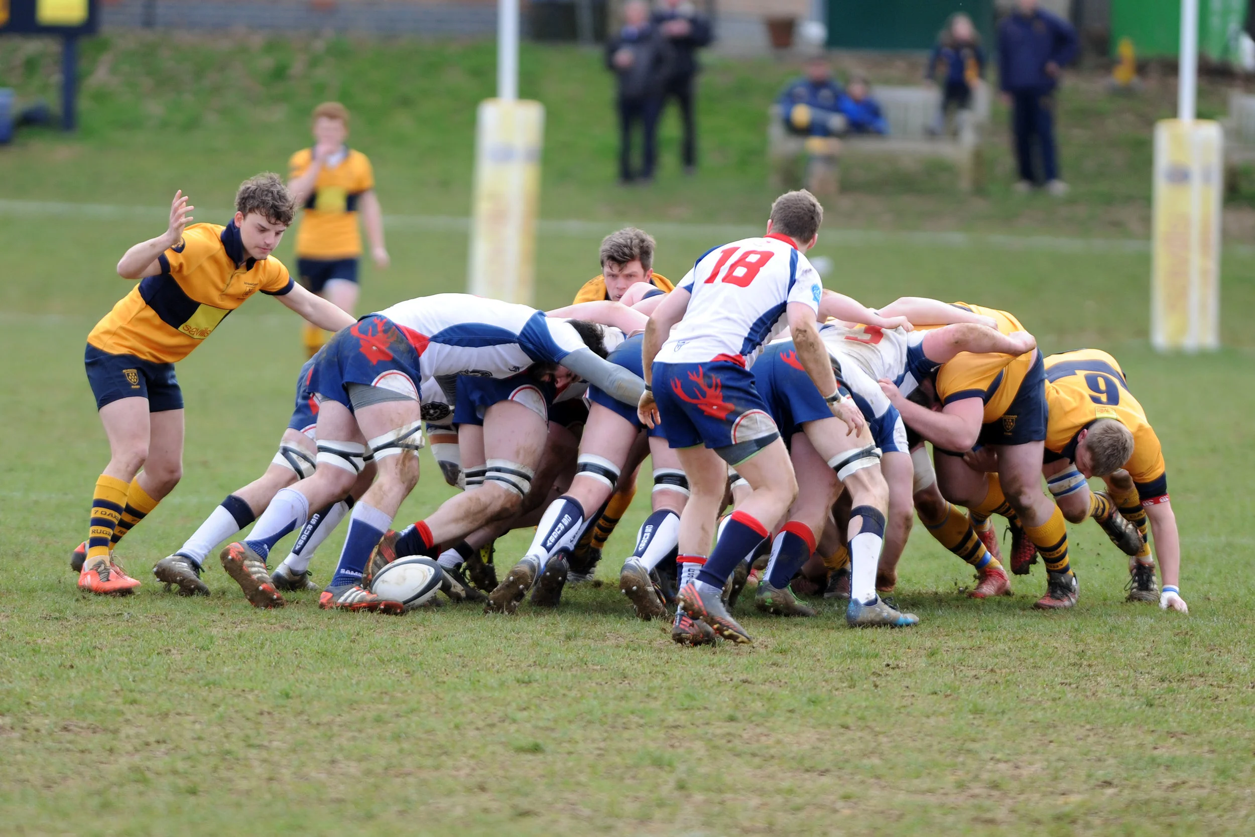 SEVENOAKS_ CS RUGBY_DP_20170304_001.JPG