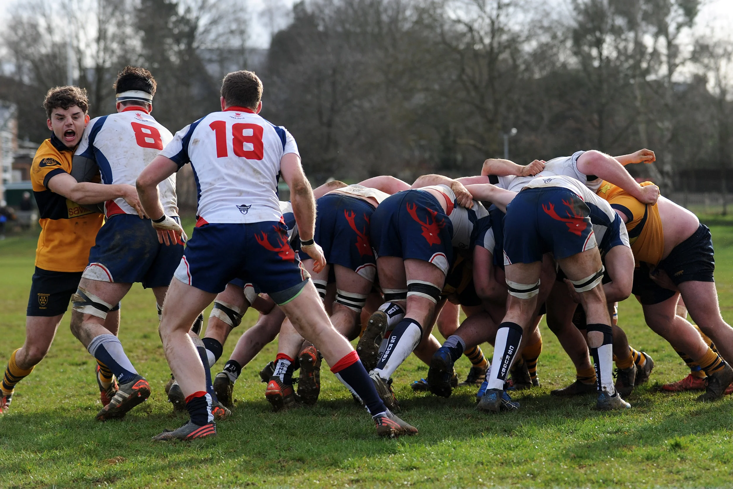 SEVENOAKS_ CS RUGBY_DP_20170304_069.JPG