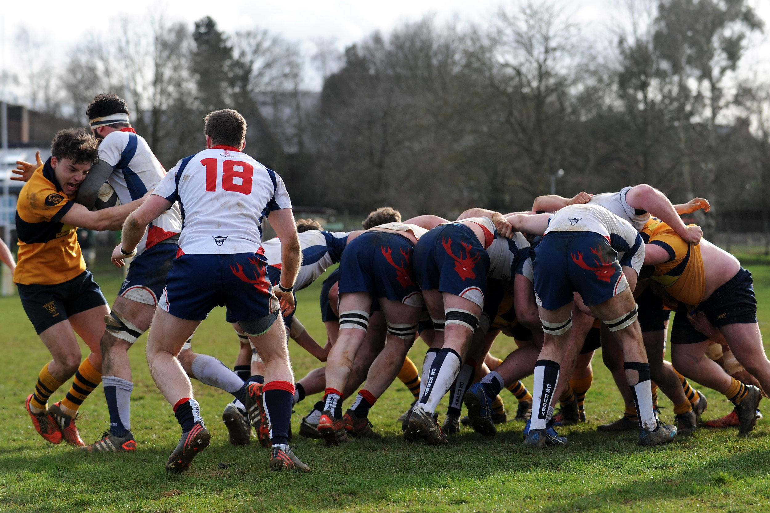 SEVENOAKS_ CS RUGBY_DP_20170304_070.JPG
