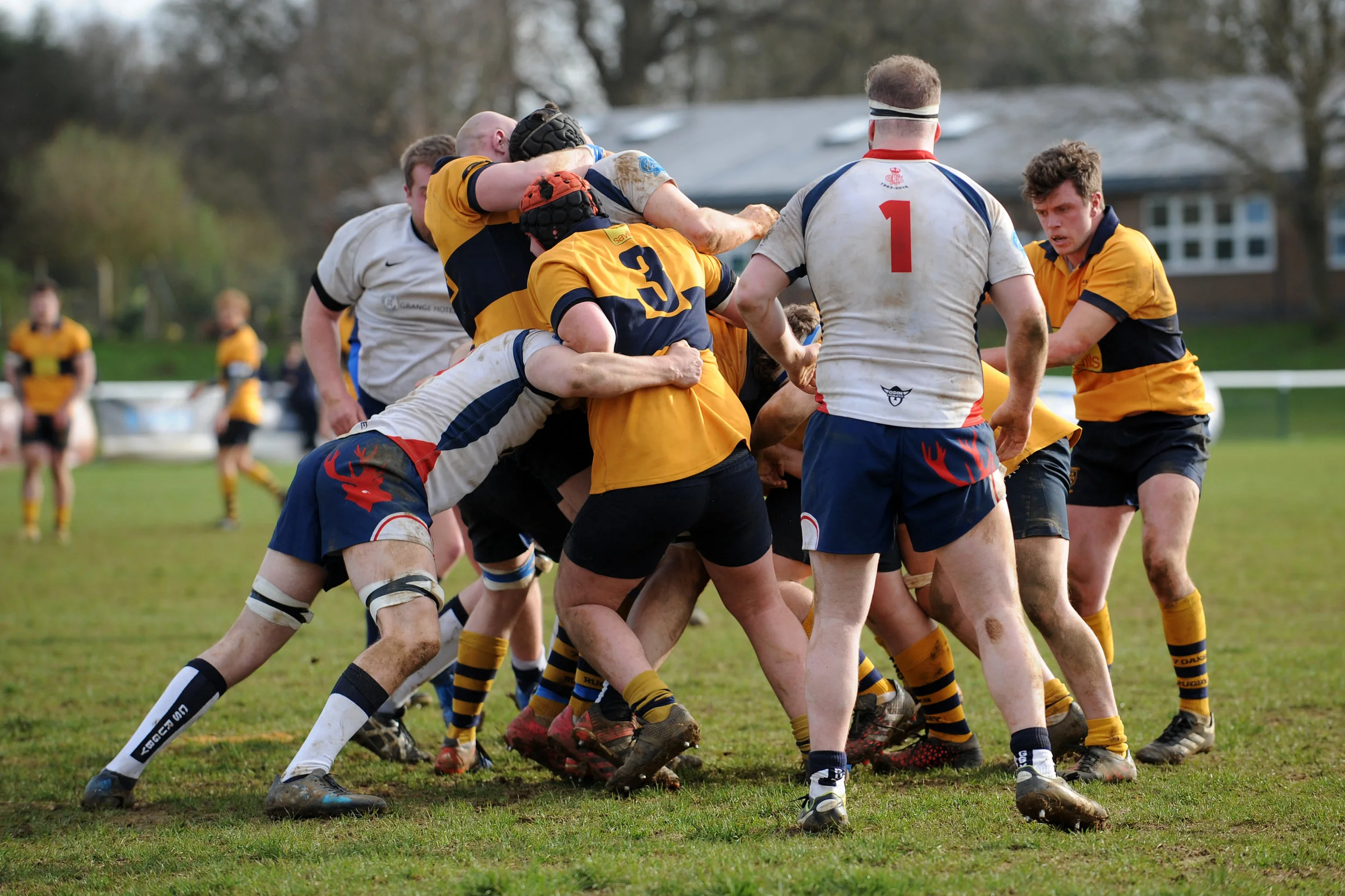 SEVENOAKS_ CS RUGBY_DP_20170304_062.JPG