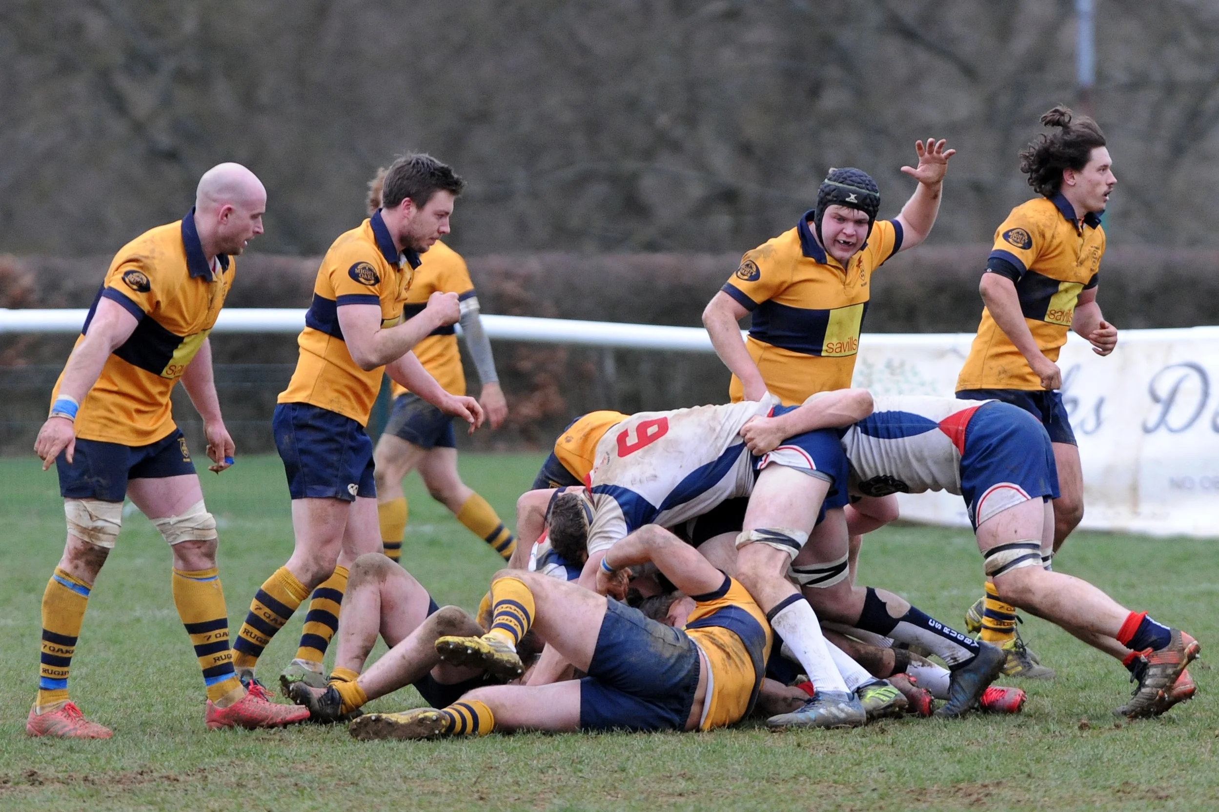SEVENOAKS_ CS RUGBY_DP_20170304_058.JPG