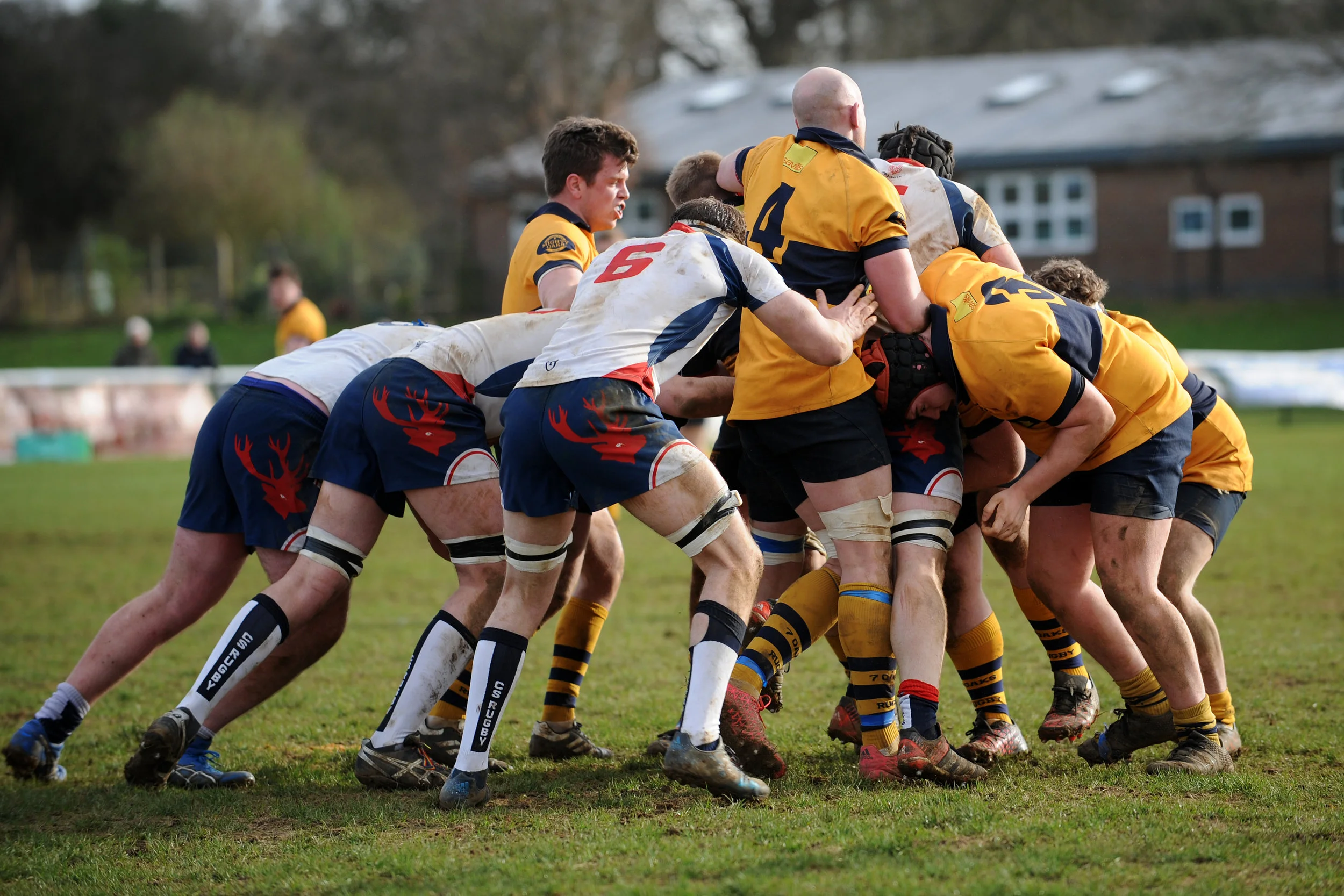 SEVENOAKS_ CS RUGBY_DP_20170304_060.JPG