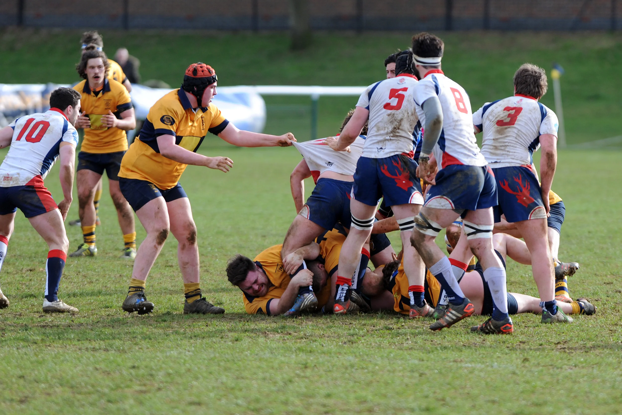 SEVENOAKS_ CS RUGBY_DP_20170304_014.JPG