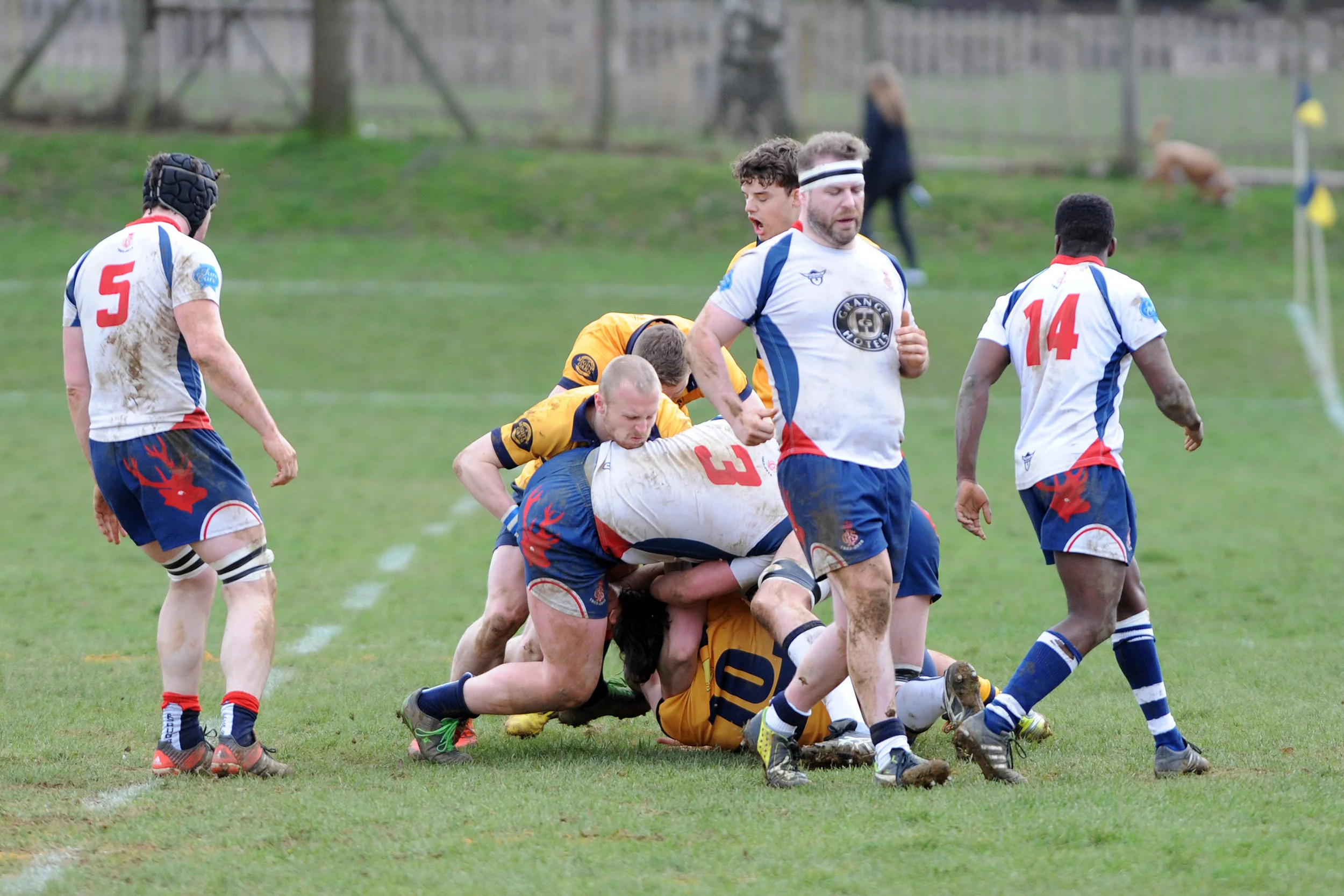SEVENOAKS_ CS RUGBY_DP_20170304_010.JPG