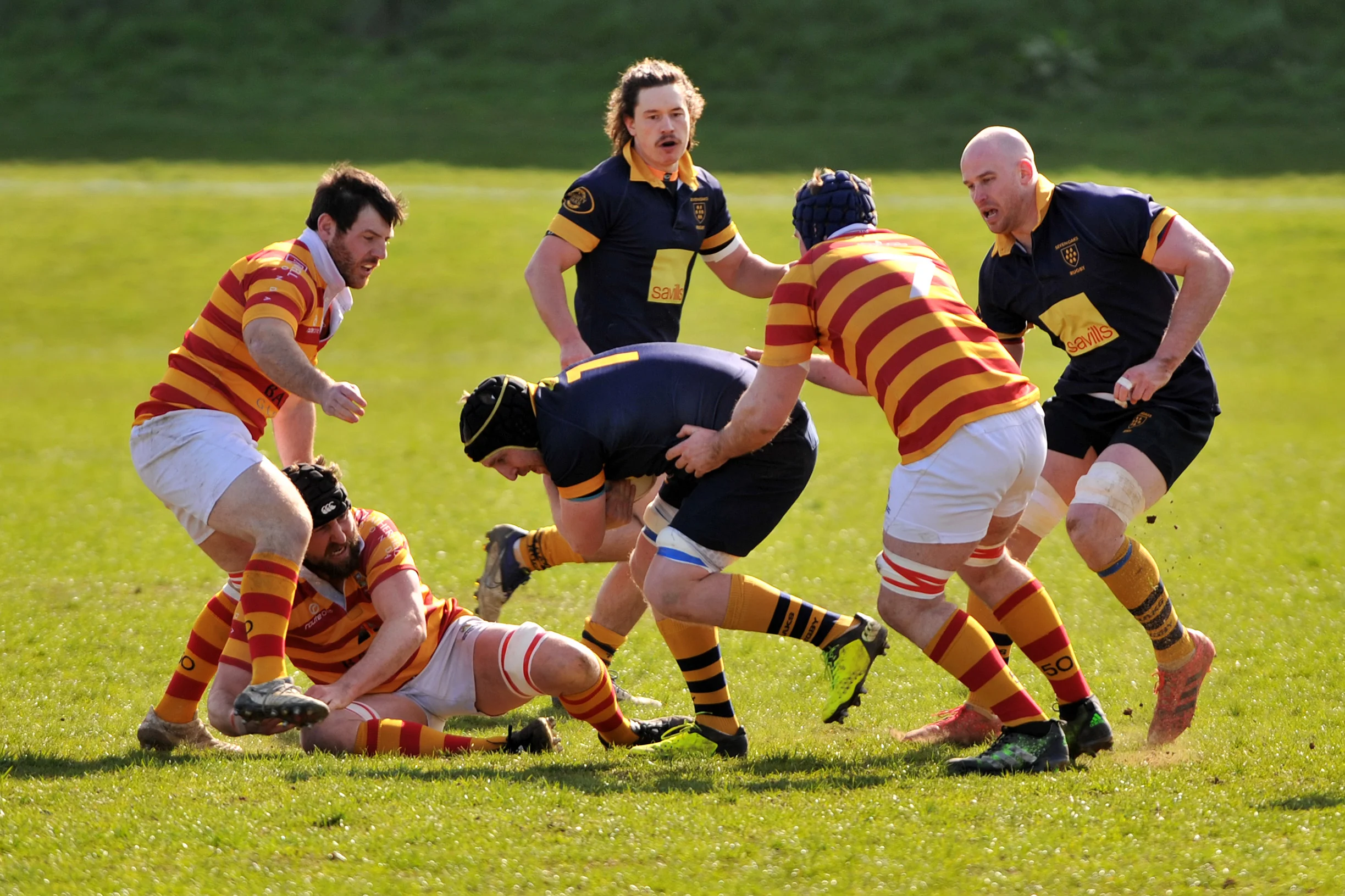 SEVENOAKS_ CHOBHAM_DP_20170325_009.JPG