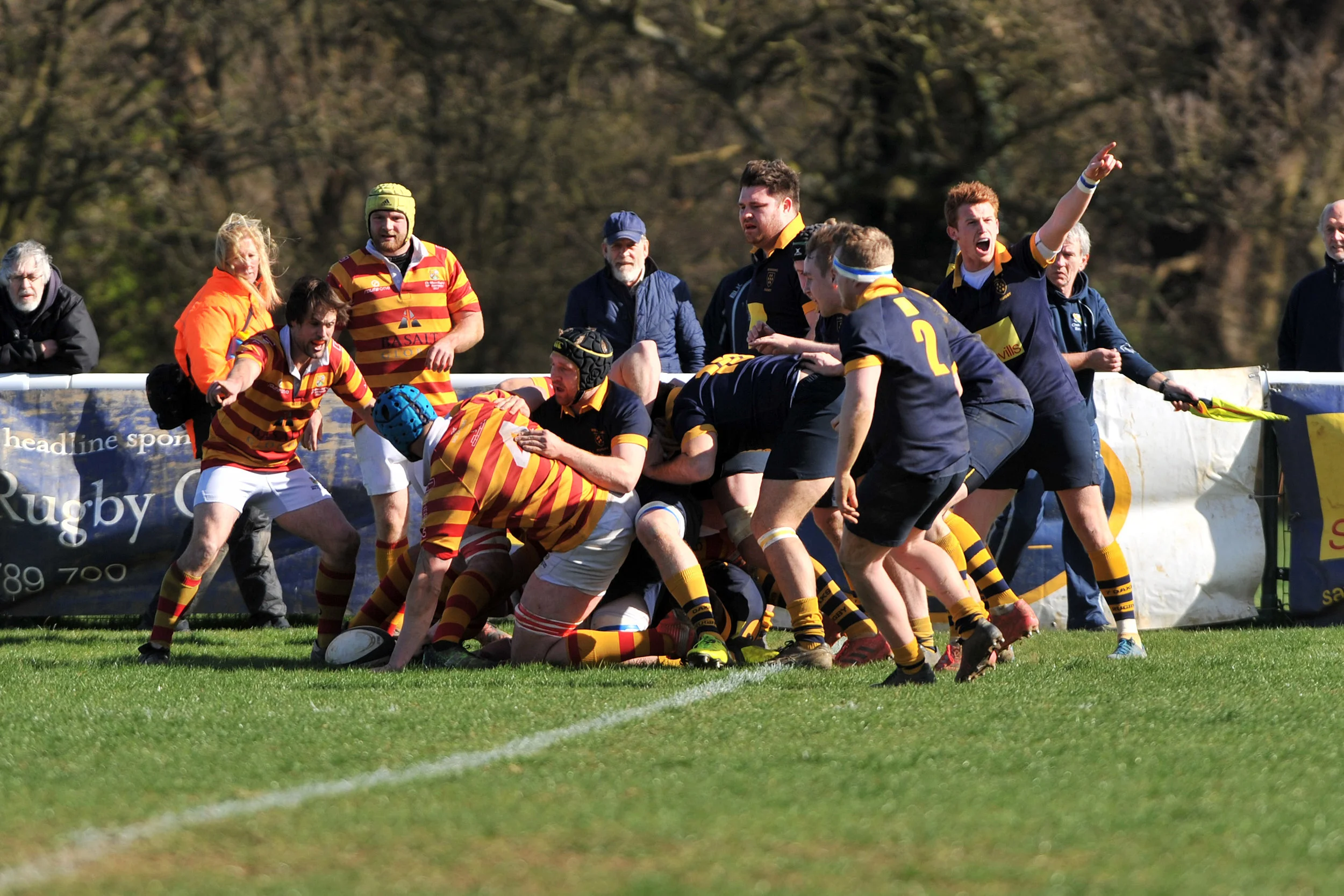 SEVENOAKS_ CHOBHAM_DP_20170325_024.JPG