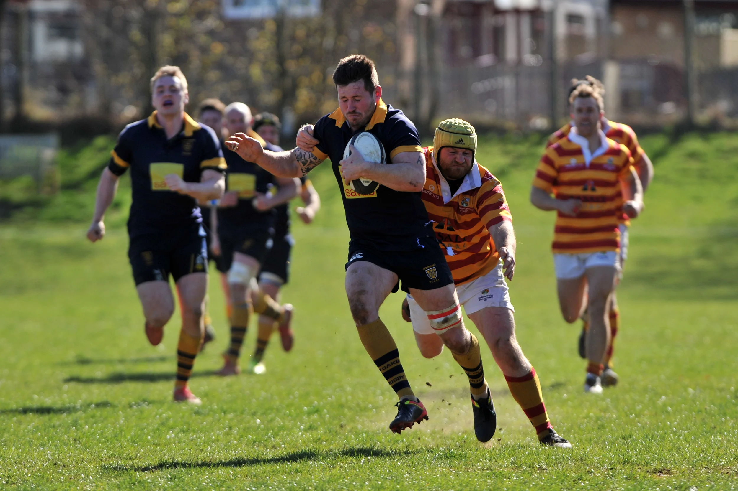 SEVENOAKS_ CHOBHAM_DP_20170325_028.JPG