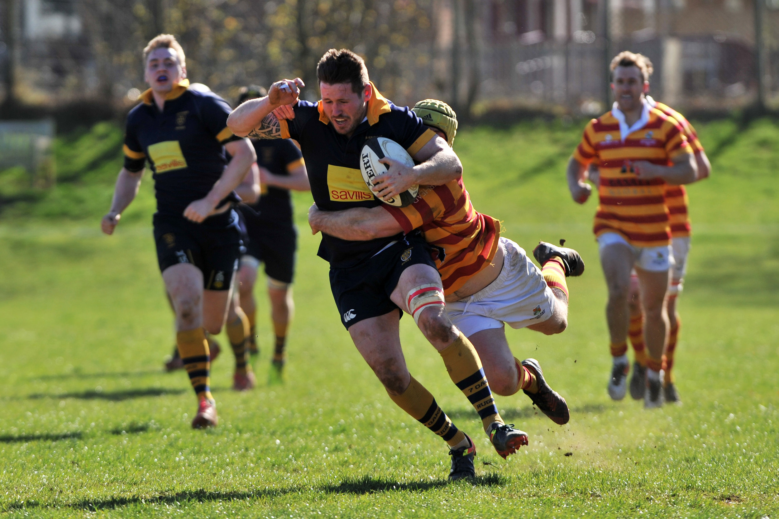 SEVENOAKS_ CHOBHAM_DP_20170325_029.JPG