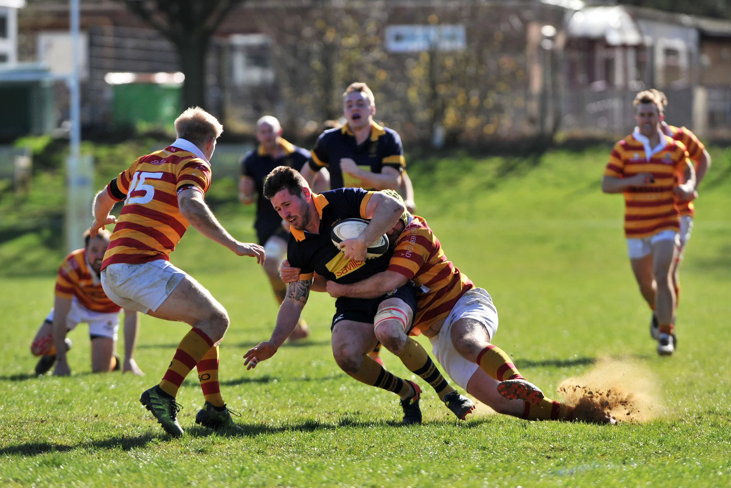 SEVENOAKS_ CHOBHAM_DP_20170325_030.JPG