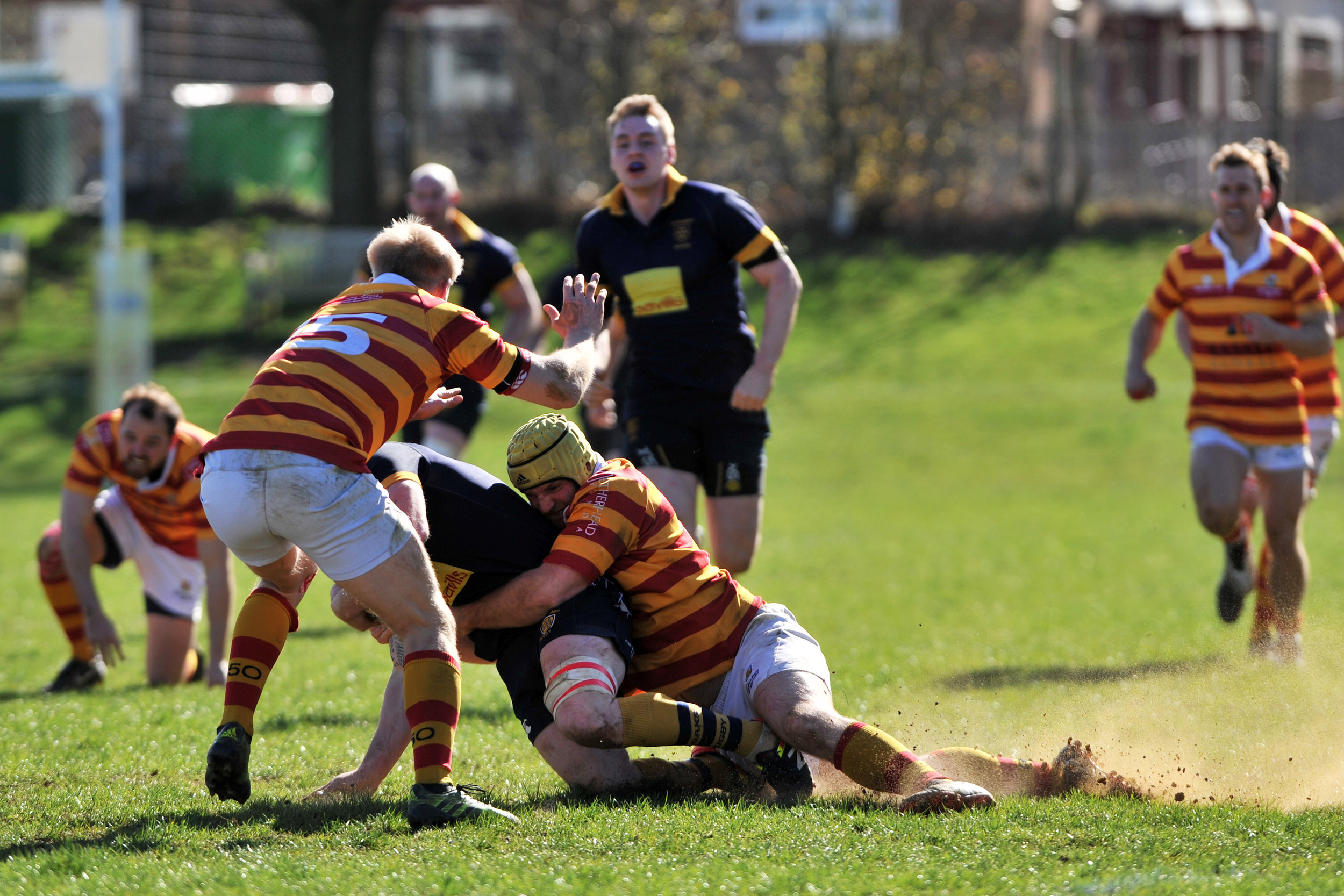 SEVENOAKS_ CHOBHAM_DP_20170325_031.JPG